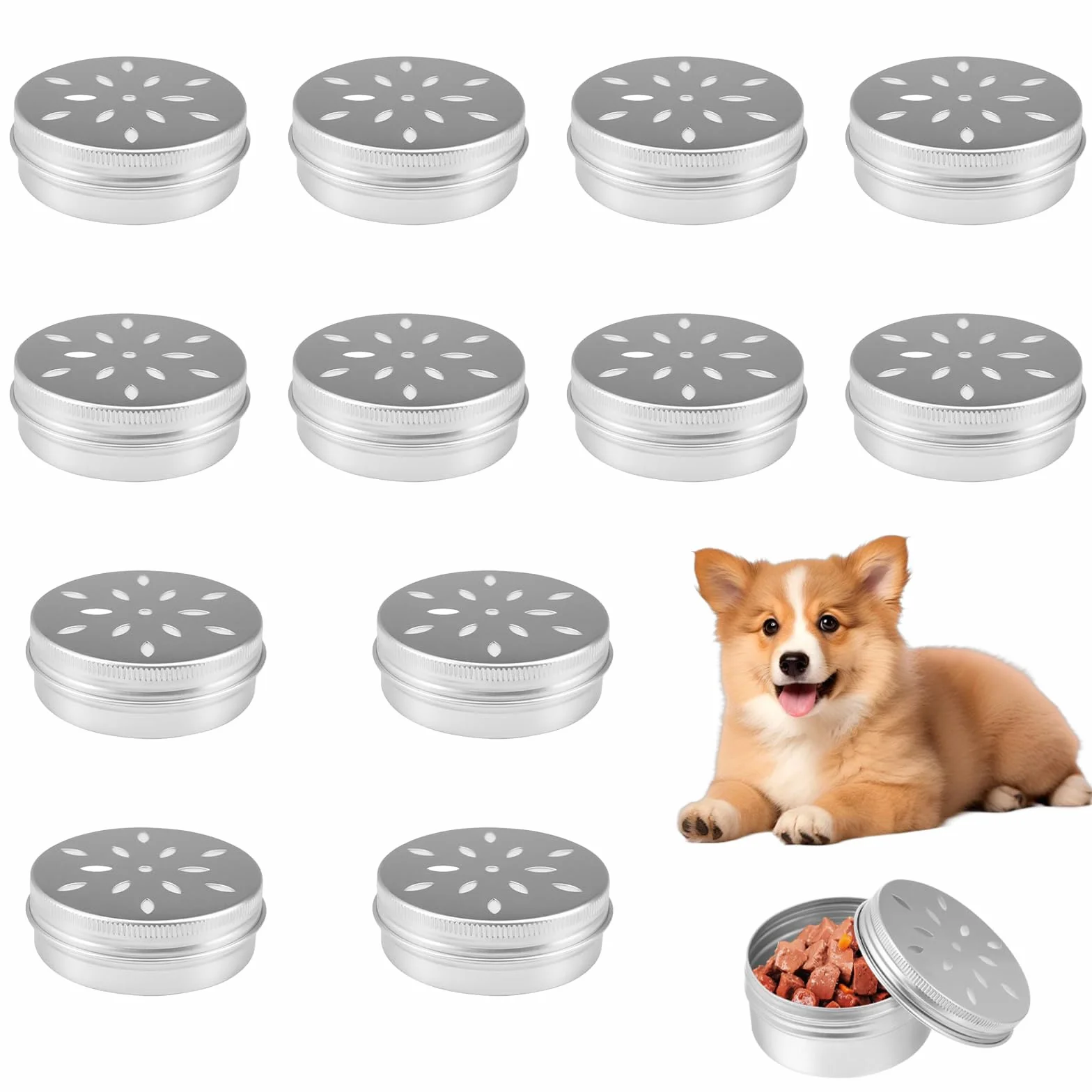 Lot de 12 boîtes métal rondes avec trous d'aération pour entraînement du parfum chien