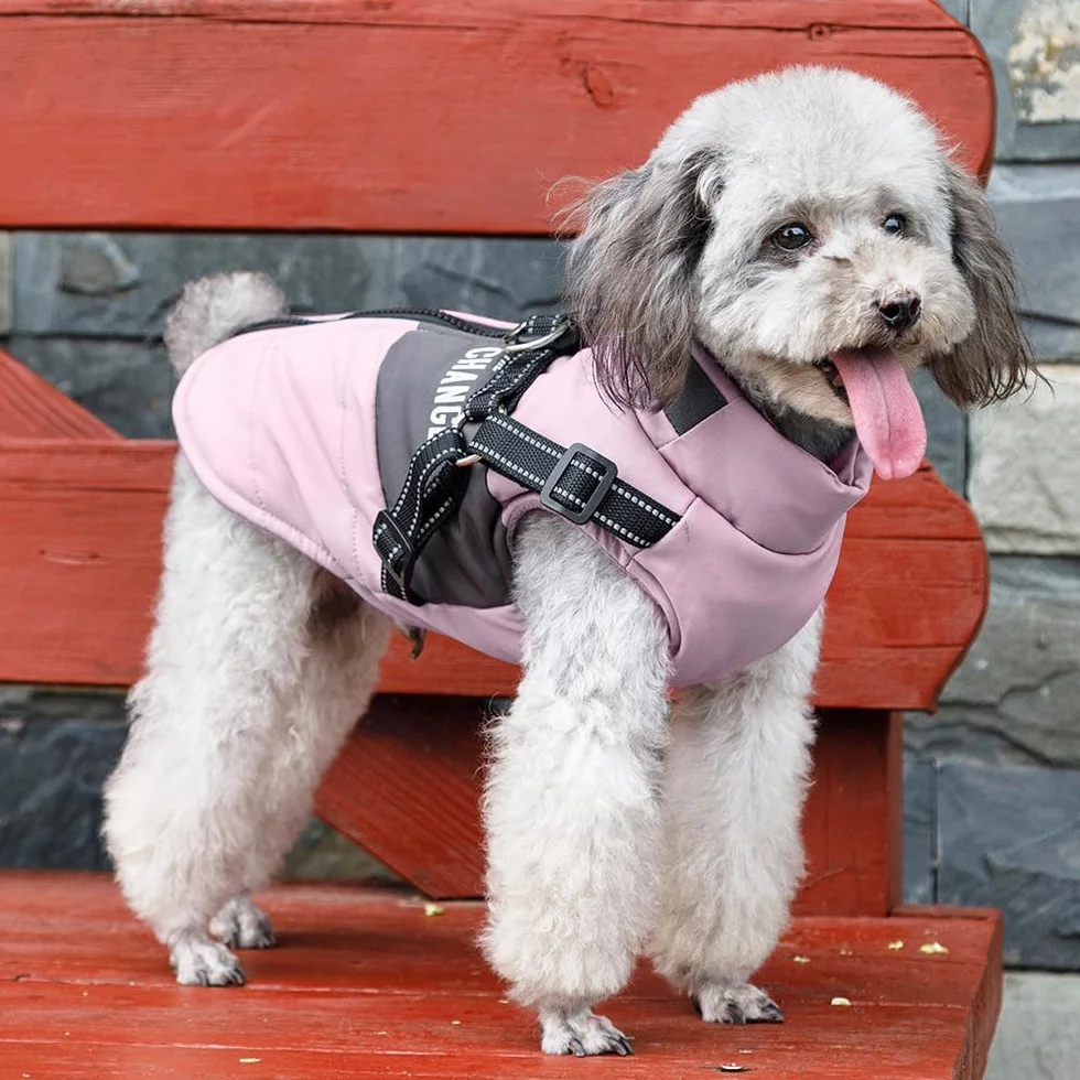 Veste d'hiver imperméable pour chien avec harnais réfléchissant, petite et moyenne taille