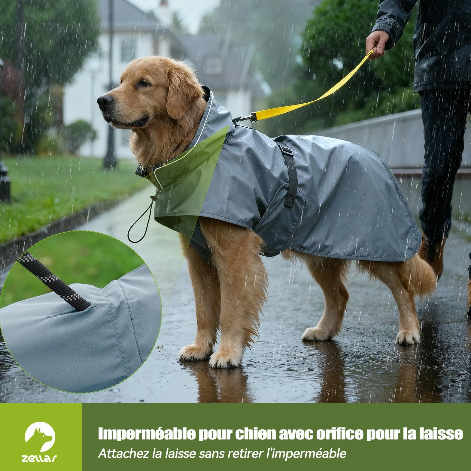 Manteau de Pluie Imperméable pour Chien Zellar, Adjustable et Léger avec Bande Réfléchissante & Passage pour la Laisse, Enfilage Facile, Manteau Chien Imperméable pour Chiens Moyens et Grands, M Gris