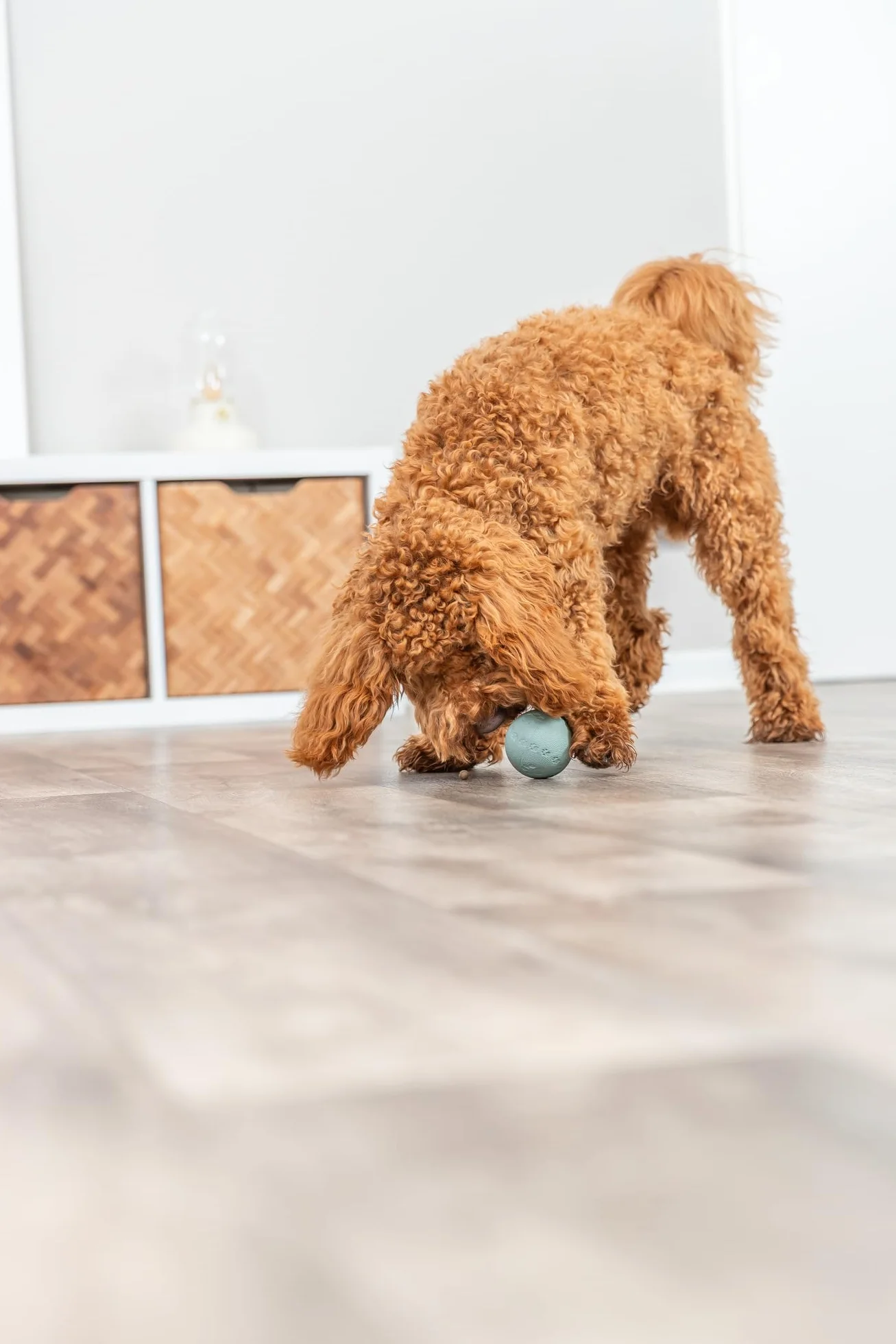 Trixie Balle à friandises en caoutchouc naturel pour chien