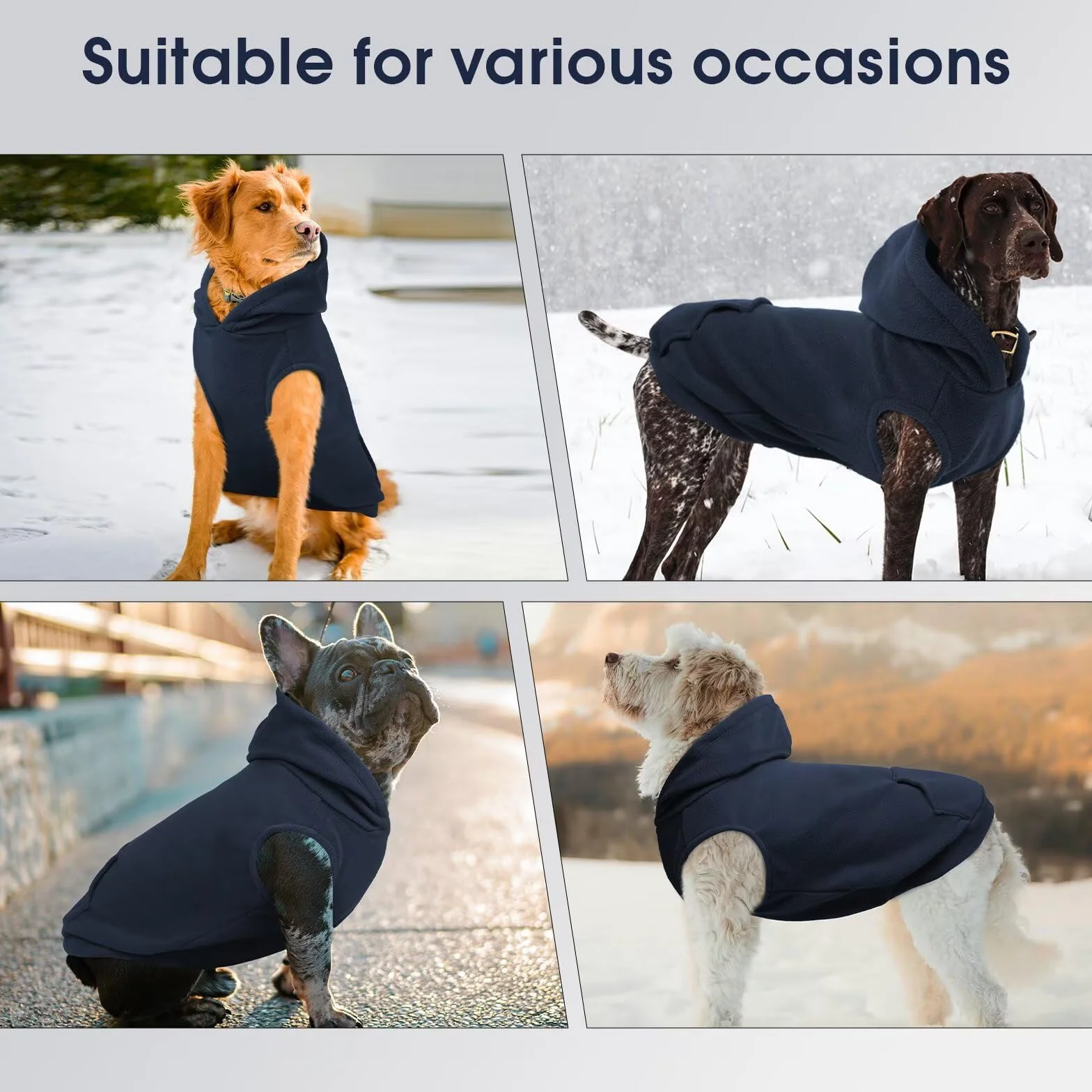 Manteau chien grande taille pull polaire chaude trou laisse IECOii automne hiver