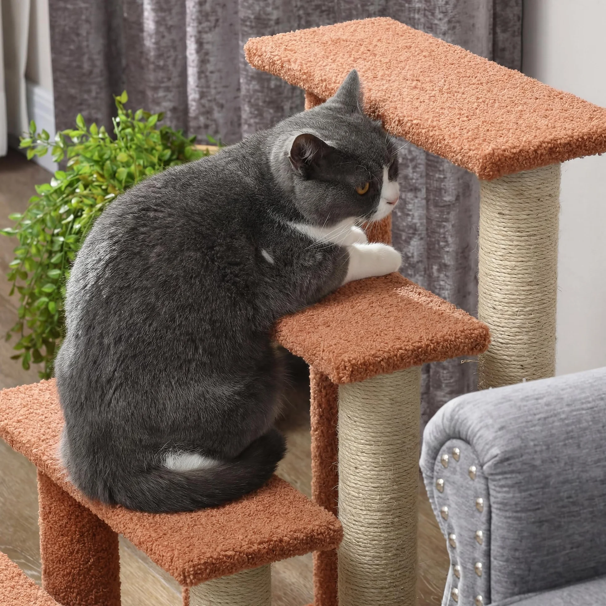 PawHut Escalier pour chats 4 marches avec griffoir balle de jeu pour animaux jusqu'à 5 kg marron 60 x 40