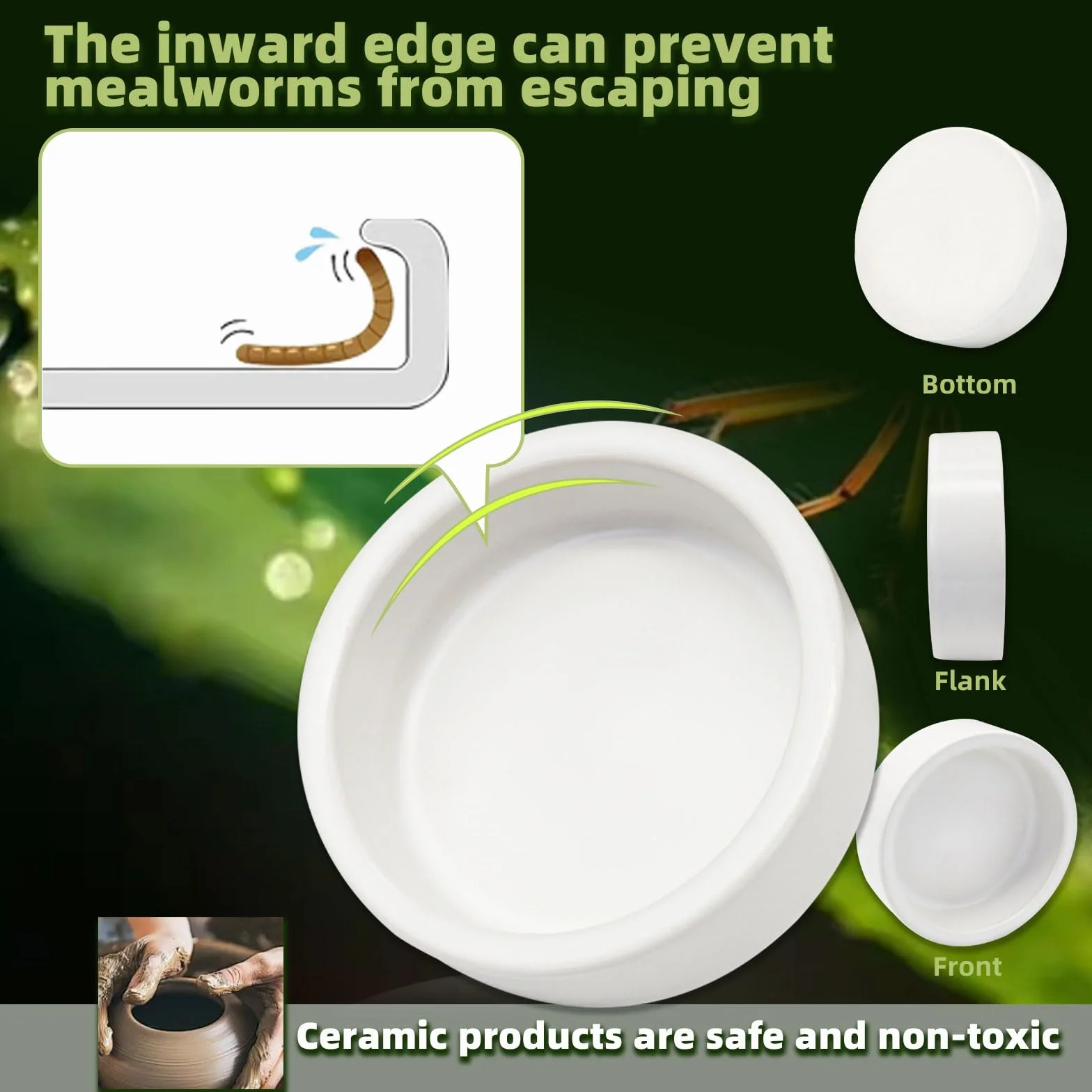Mangeoire anti-éclatement céramique reptiles petits animaux gamelle évasion alimentaire bol eau M