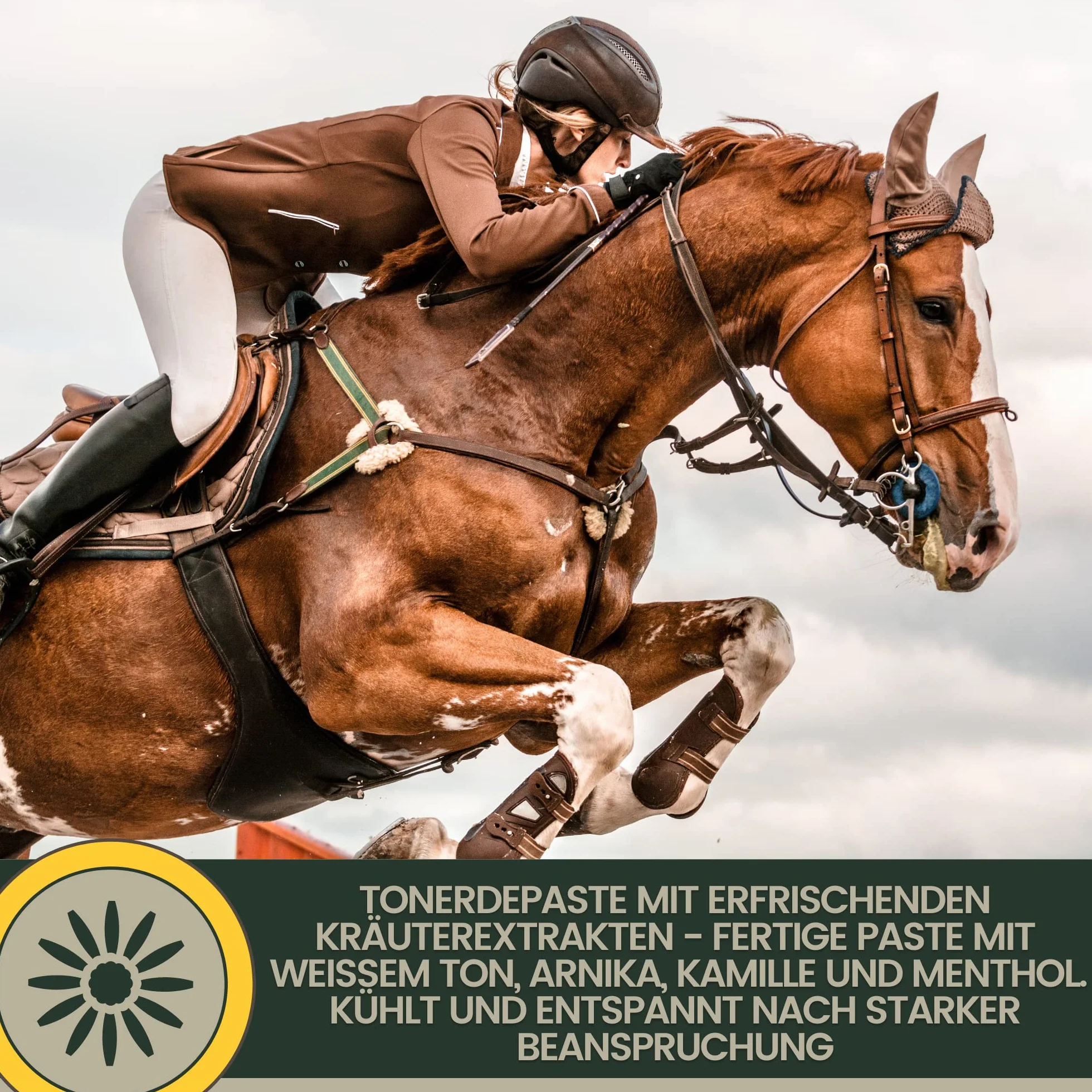 Emma Argile pour Chevaux Set 2×1,5 kg Pâte Refroidissante Tendons Articulations Arnica Pure