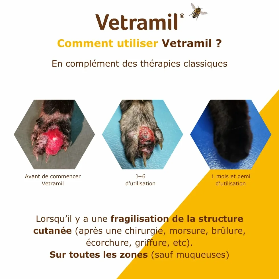 Anidev Vetramil Spray Naturel Protecteur Multi espèces Peaux fragilisées Animaux Miel de qualité médicale huiles essentielles Effet apaisant Protecteur Flacon 100 ML