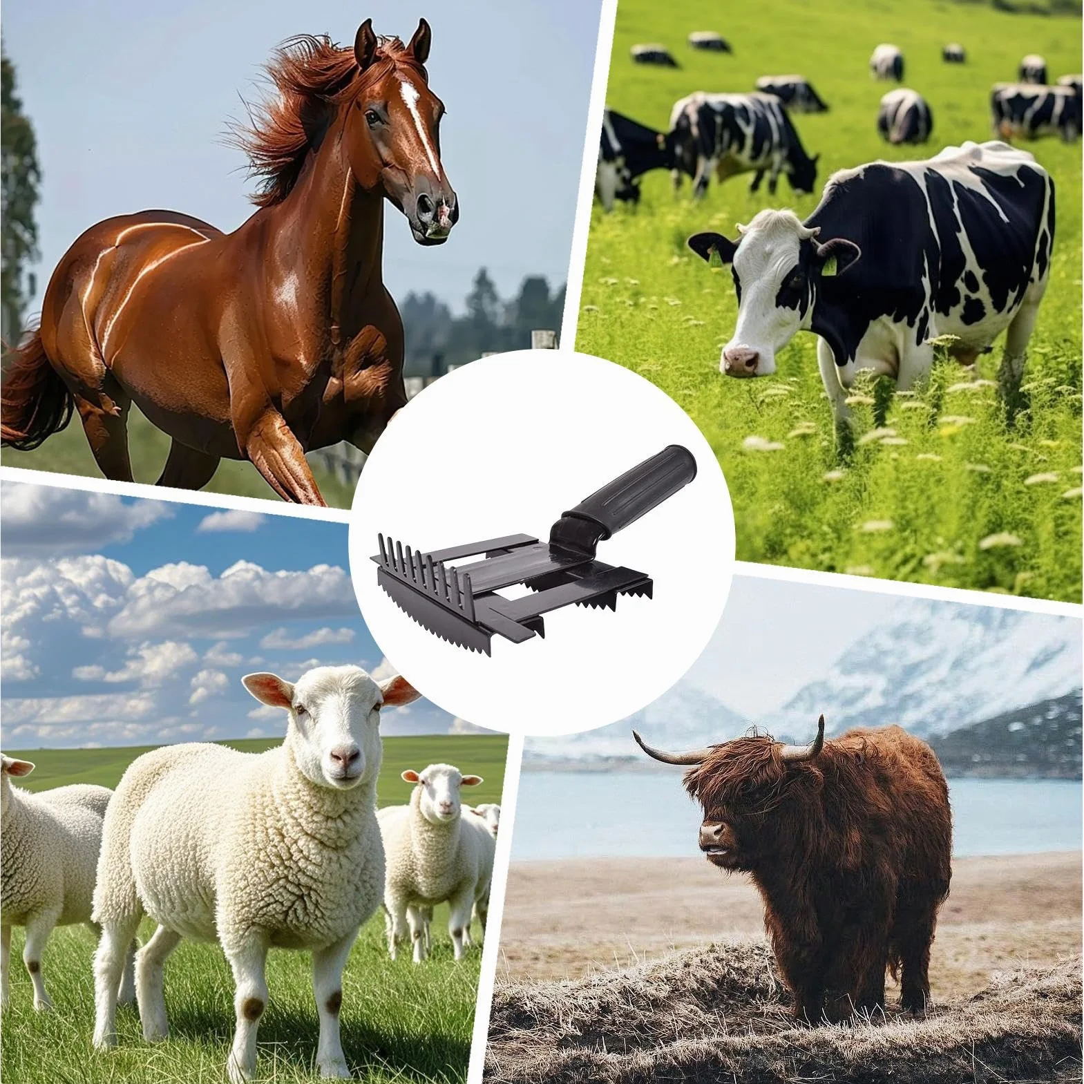Brosse de soin pour animaux désépaissir les poils bétail chèvres moutons