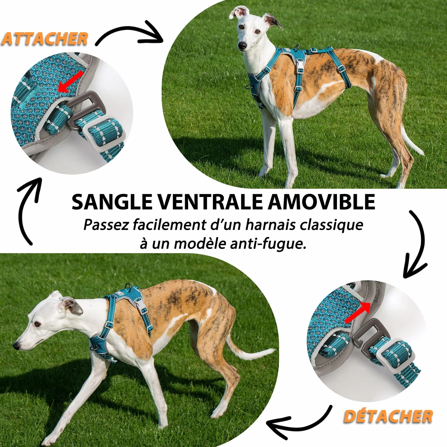 Huntboo Harnais Anti-Fugue pour Chien, Réfléchissant Anti-Traction, Durable Réglable Respirant, Bleu S