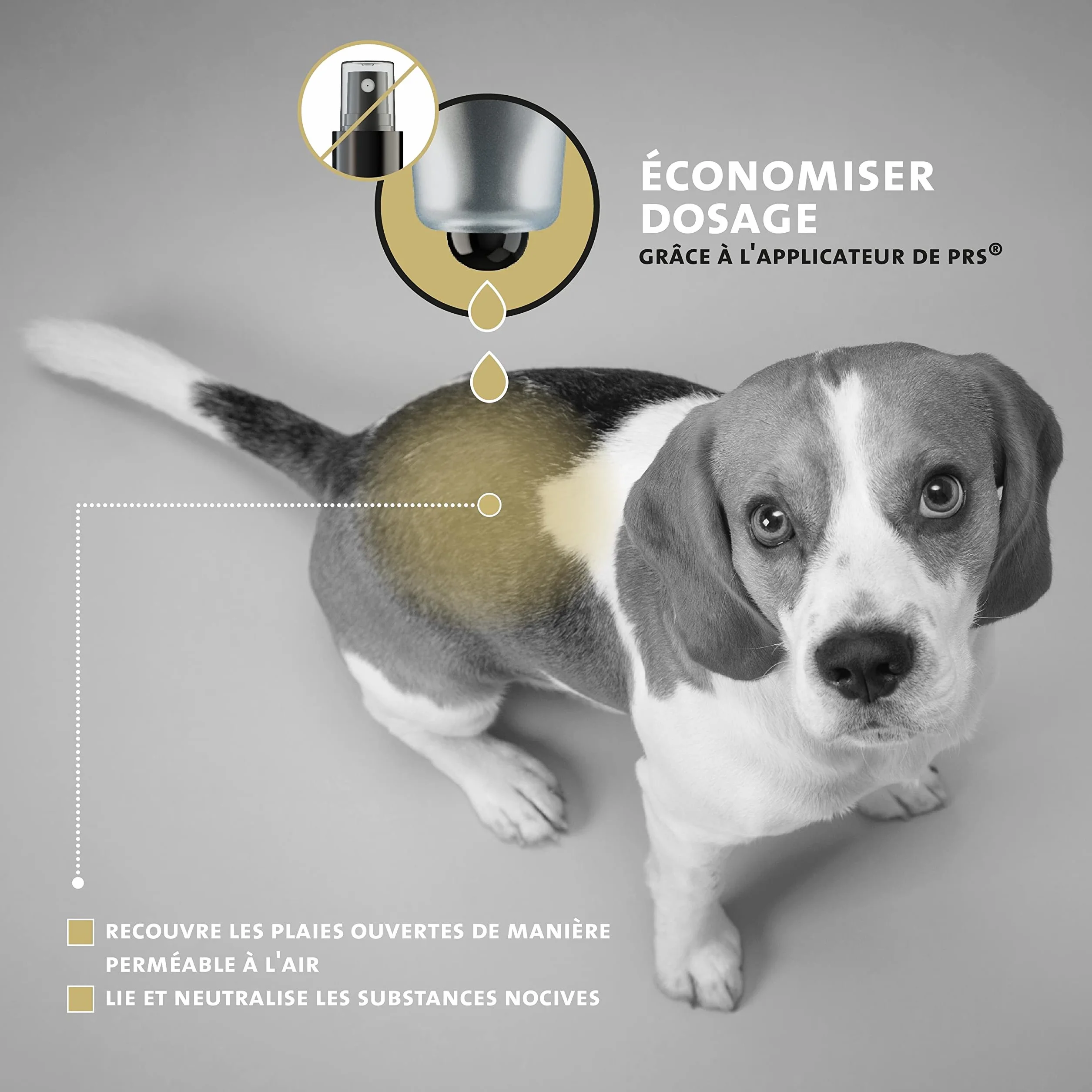 Peticare Poudre Spéciale Soin Plaies pour Chiens, Chevaux, Chats - 100% Zéolithe