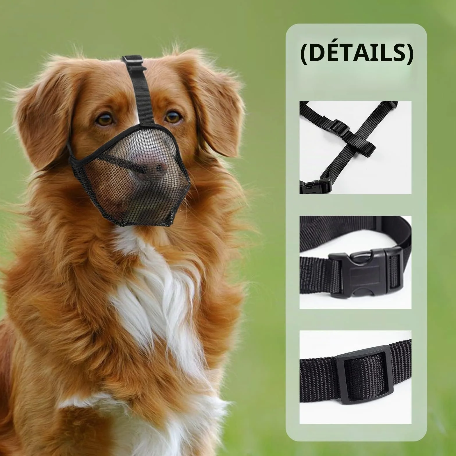 Muselière pour Chien avec Mailles arrondies, Muselière Respirante pour Petits, Moyens et Grands Chiens, empêche de Manger, Mordre et mâcher(L, Noir)