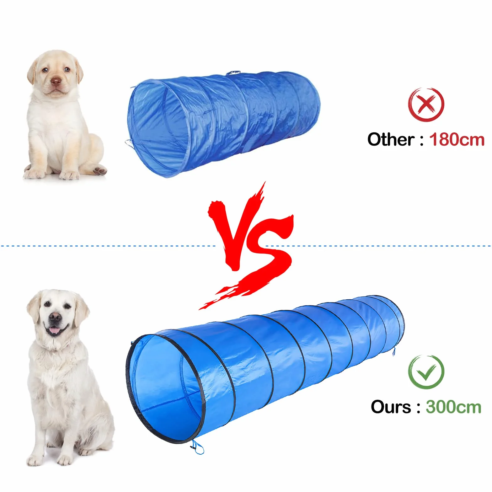 Kit Agility pour Chien Équipement Parcours Obstacle Anneau Tunnel Haies Slalom