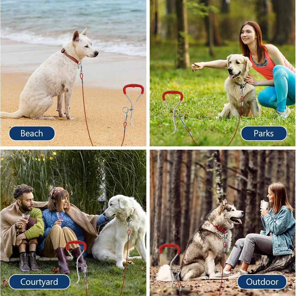 Aomig Piquet Ancrage Spirale pour Chien 3m 6m