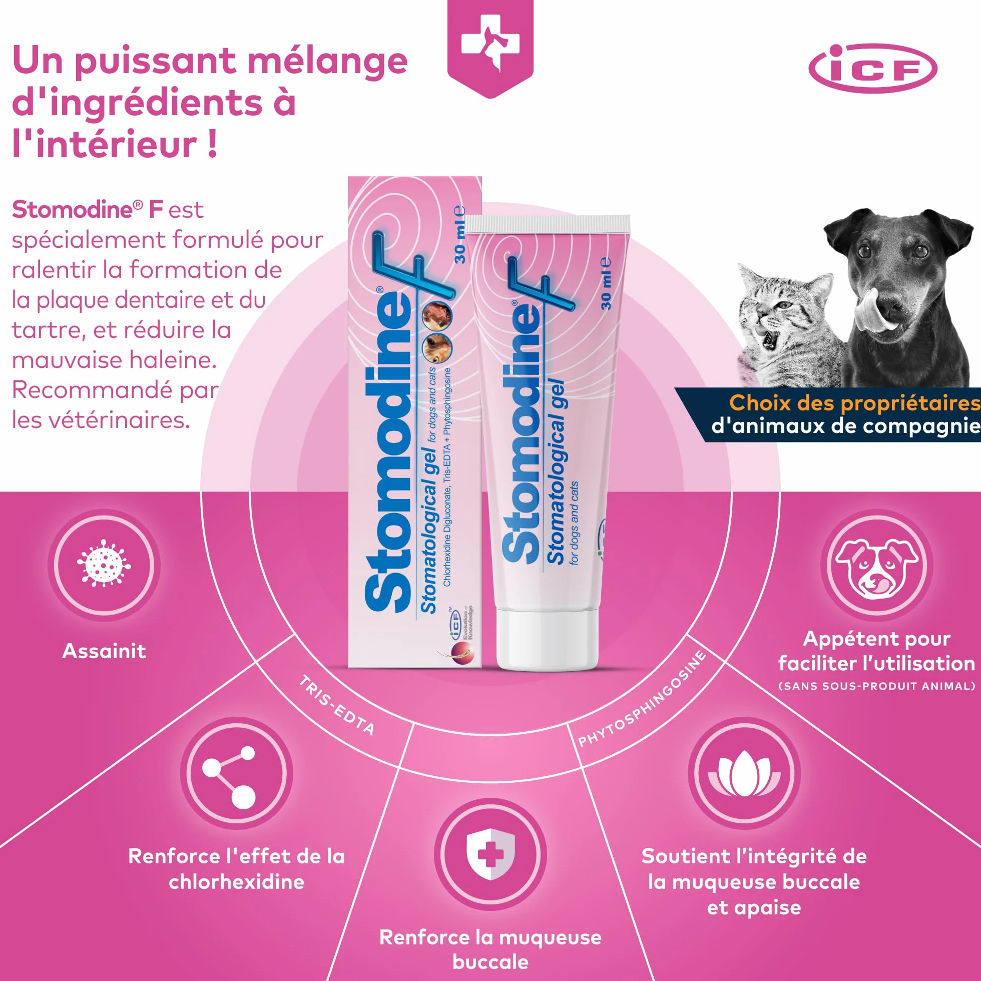 ICF Stomodine F Gel Appétent Hygiène Buccale Chiens Chats 30ml