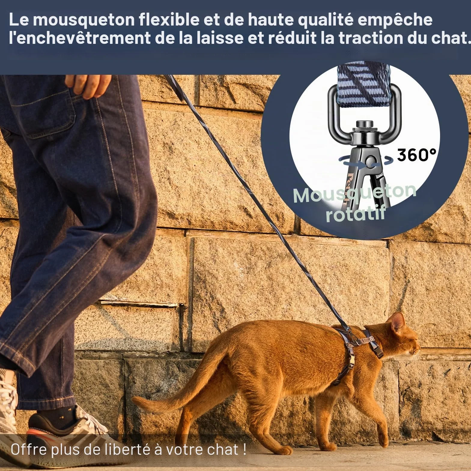 Harnais anti-fuite réglable pour chat - Ensemble de harnais et laisse doux et léger