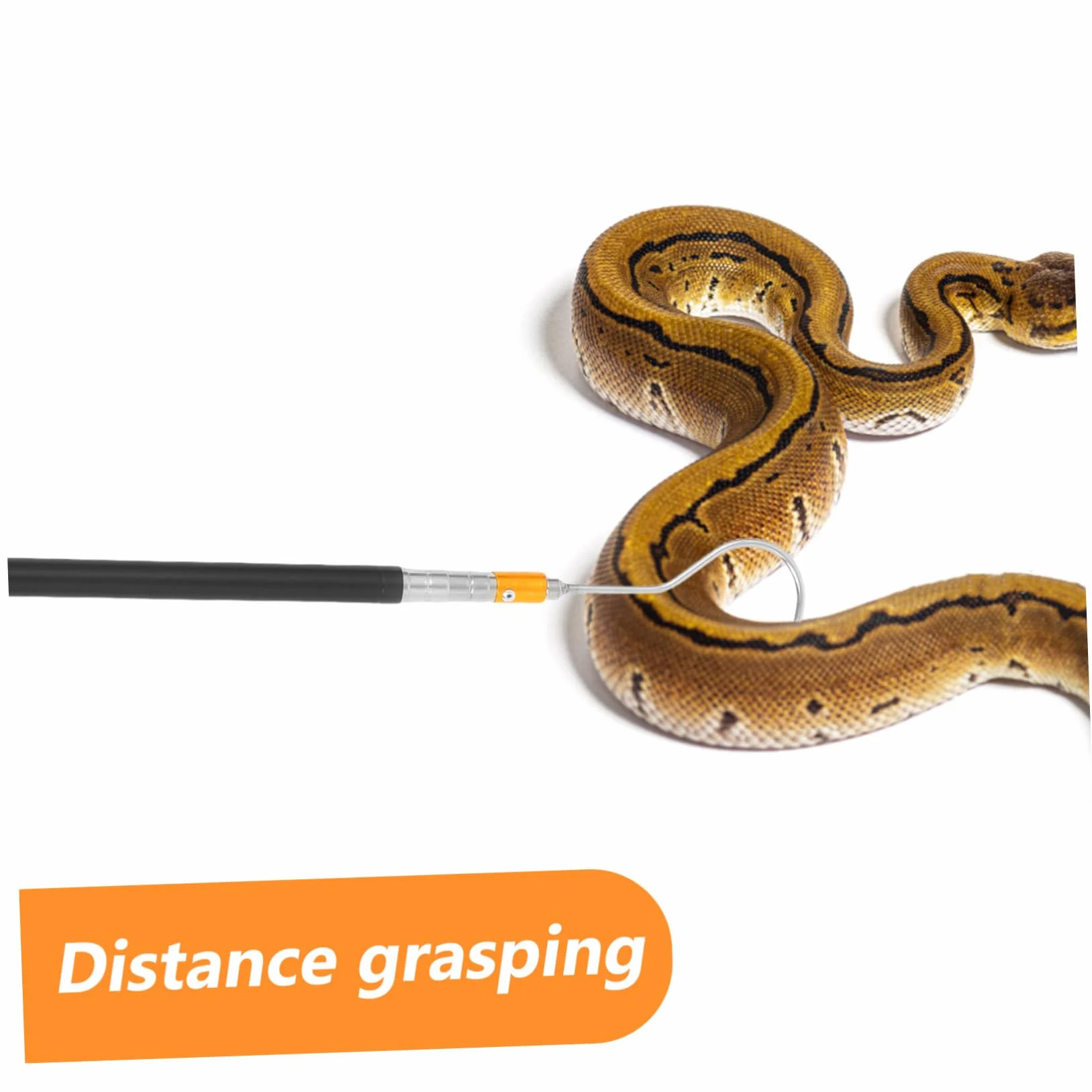 Homoyoyo Attrape-Serpents Crochet Télescopique Outil de Capture Perche Multi Fonctionnelle Ajustable Manipulation Reptiles