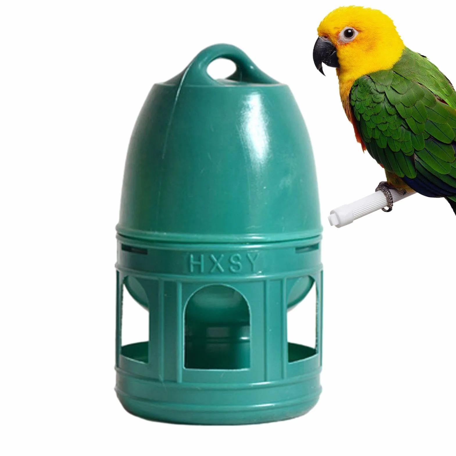Abreuvoir pour Pigeons et Volailles - Capacité 3/5 L - Distributeur d'Eau avec Poignée de Transport