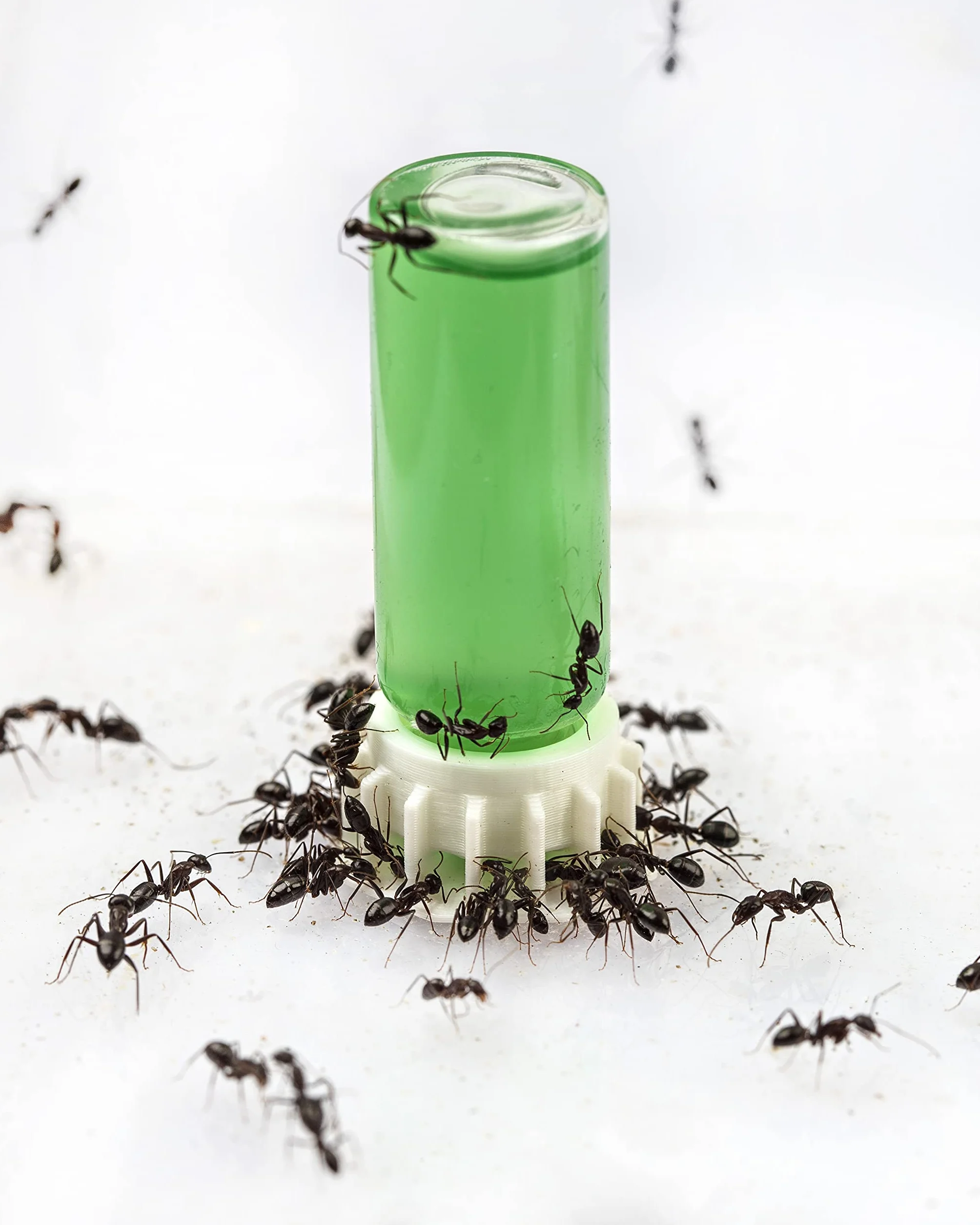 AntHouse Super Ant Food Nectar Alimentaire Vert 50 ML - Nourriture pour Fourmis à Base de Sucre