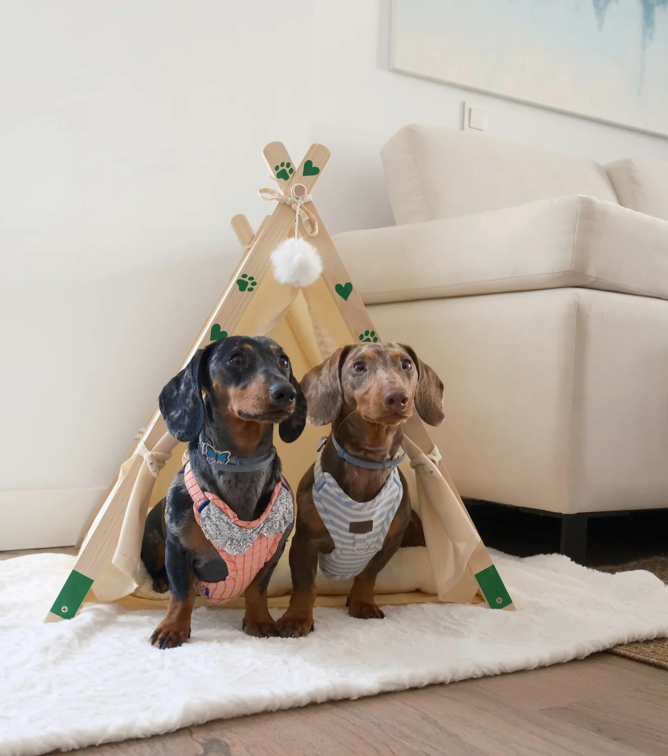 Tipi Lit pour chats et petits chiens – Grotte en bois massif, coton et lin respirant, niche igloo d'intérieur pour animaux de compagnie, chiots, berceau de voyage pliable et portable avec coussin