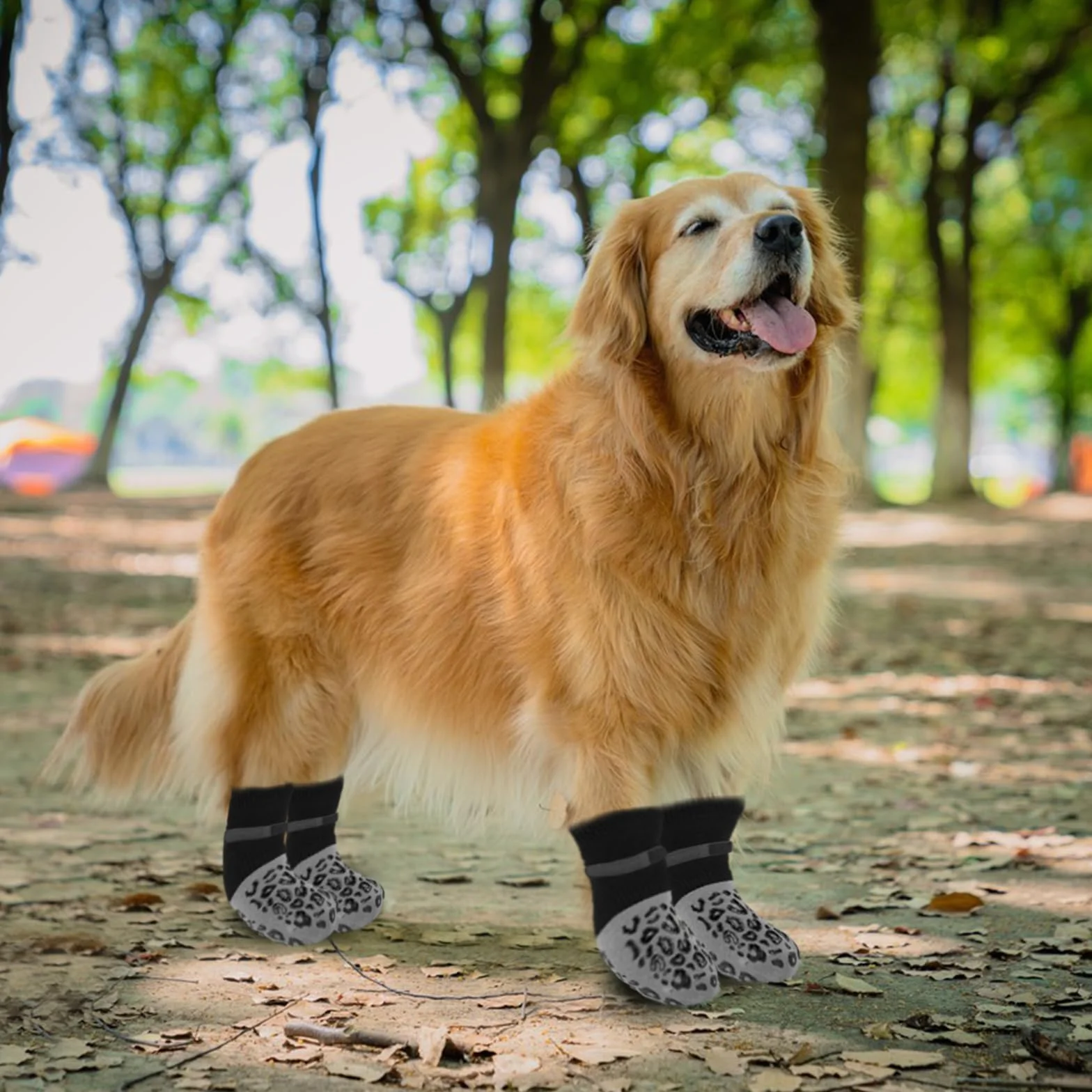 Chaussettes pour Chien Antidérapantes 2 Paires avec Bande Auto Réglable Protection Pattes Intérieur Extérieur (M)