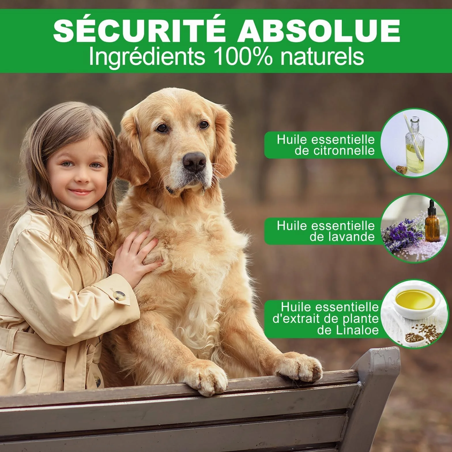 Collier Anti Puces pour Chien 65cm Réglable Étanche 12 Mois Protection