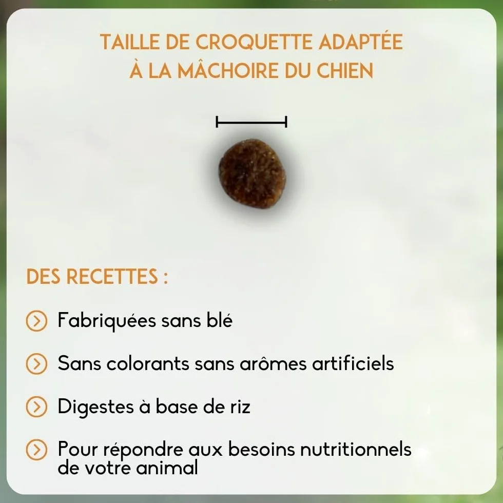 NUTRIVET - Super Premium - Adulte Mini - Croquettes sans Blé - Chien - Riche en Protéines Animales - 15 kg