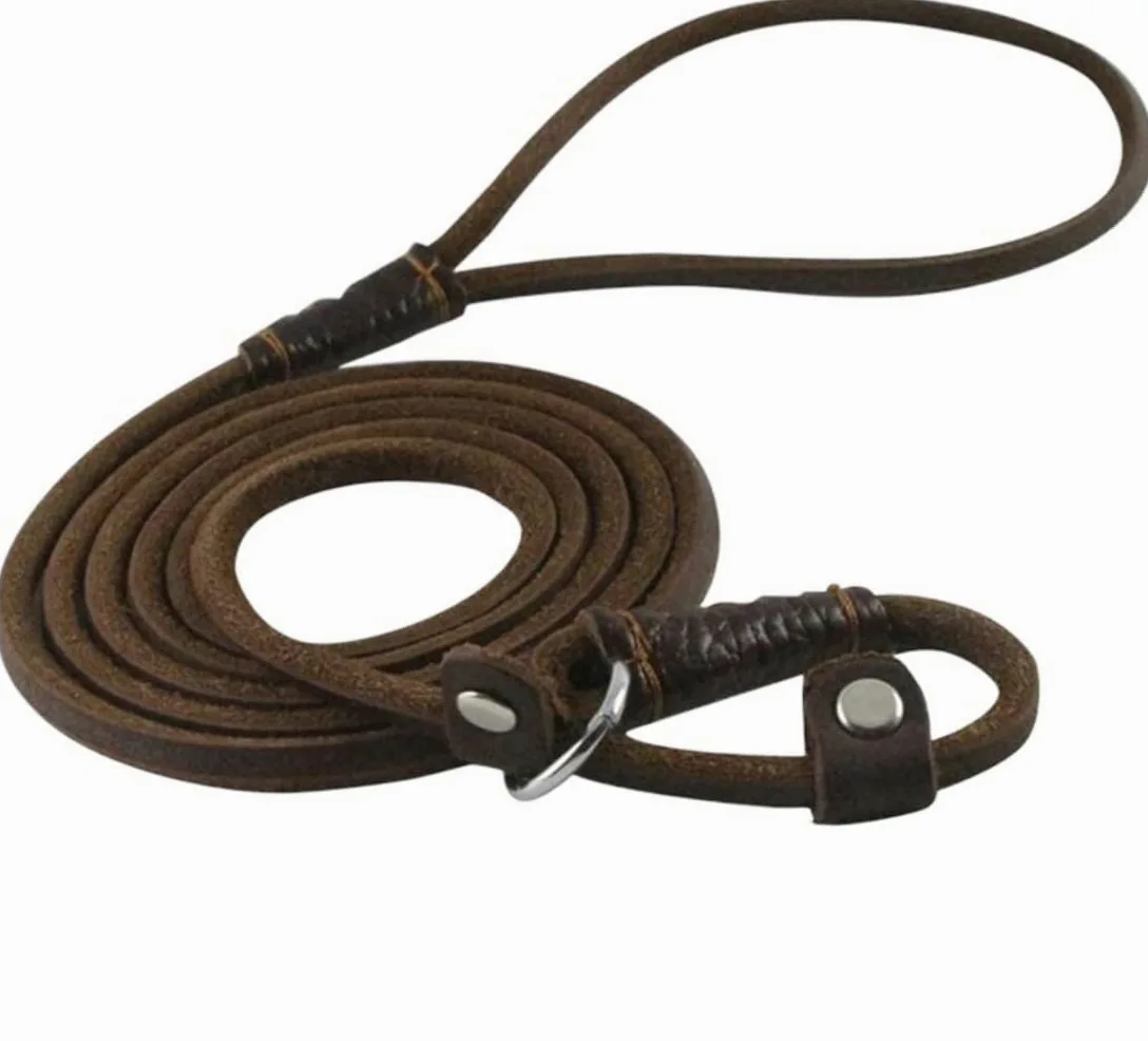 Longe Chien Chaîne Chien Laisse Slip Collier Pet Marche Conduit en Cuir Véritable Chien Corde Chiot Traction pour Chiens Ceinture Chien