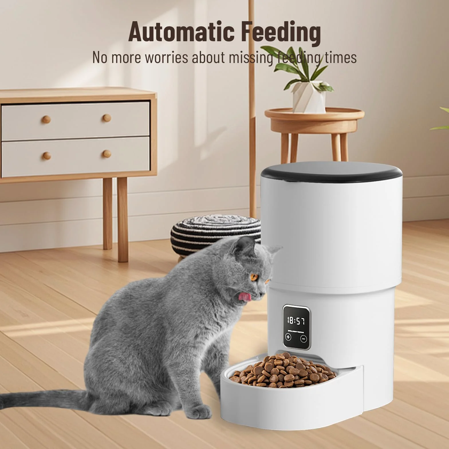 Distributeur Croquettes Chat Automatique 4L Minuterie Programmable 1-6 Repas