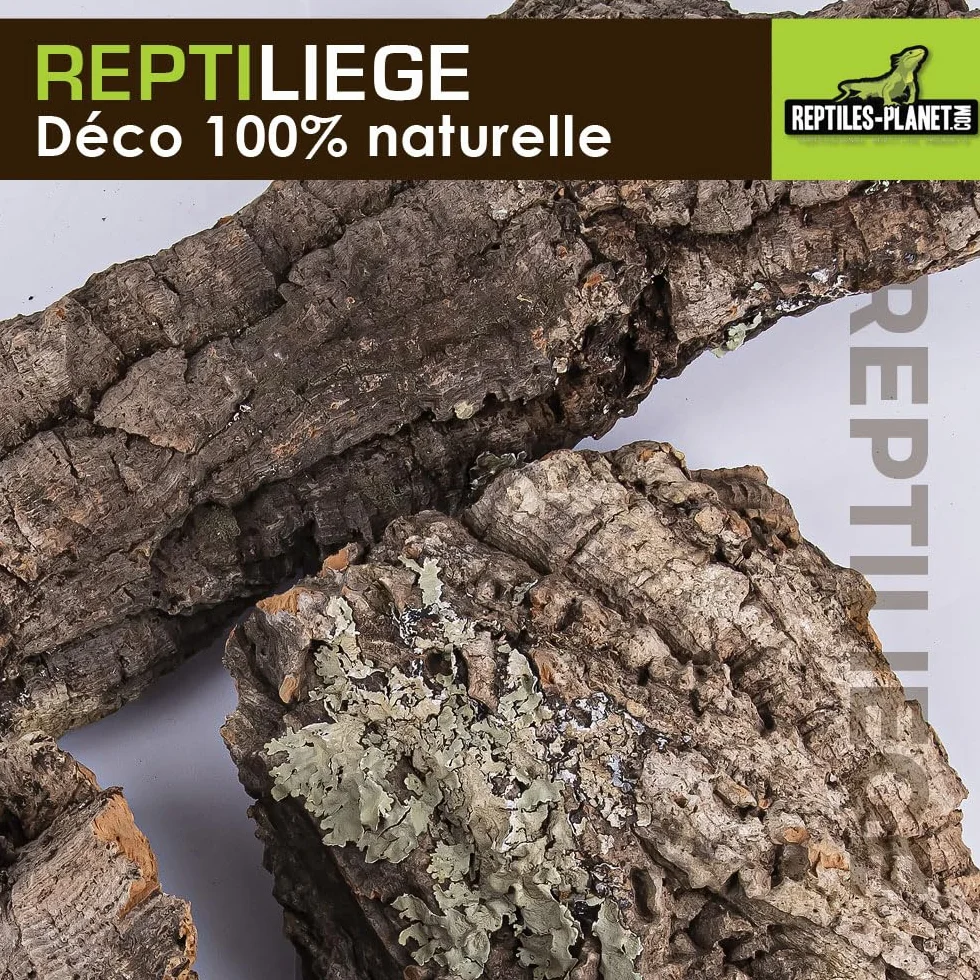 Reptiles Planet Assortiment de Liège pour Décoration de Terrarium 10 litres