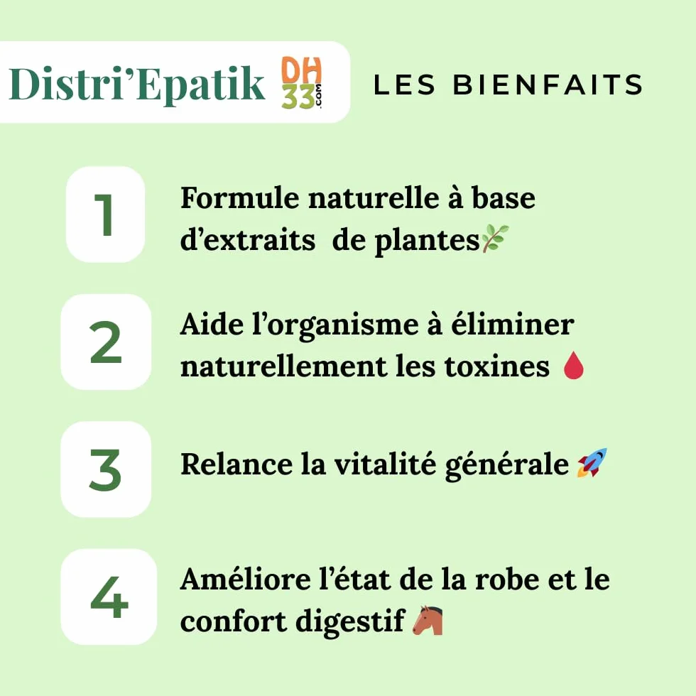 Drainage Foie Reins Cheval Liquide – Détox Naturelle, Digestion & Vitalité – Plantes Hépatiques (Chardon-Marie, Artichaut, Curcuma) – Fabriqué en France