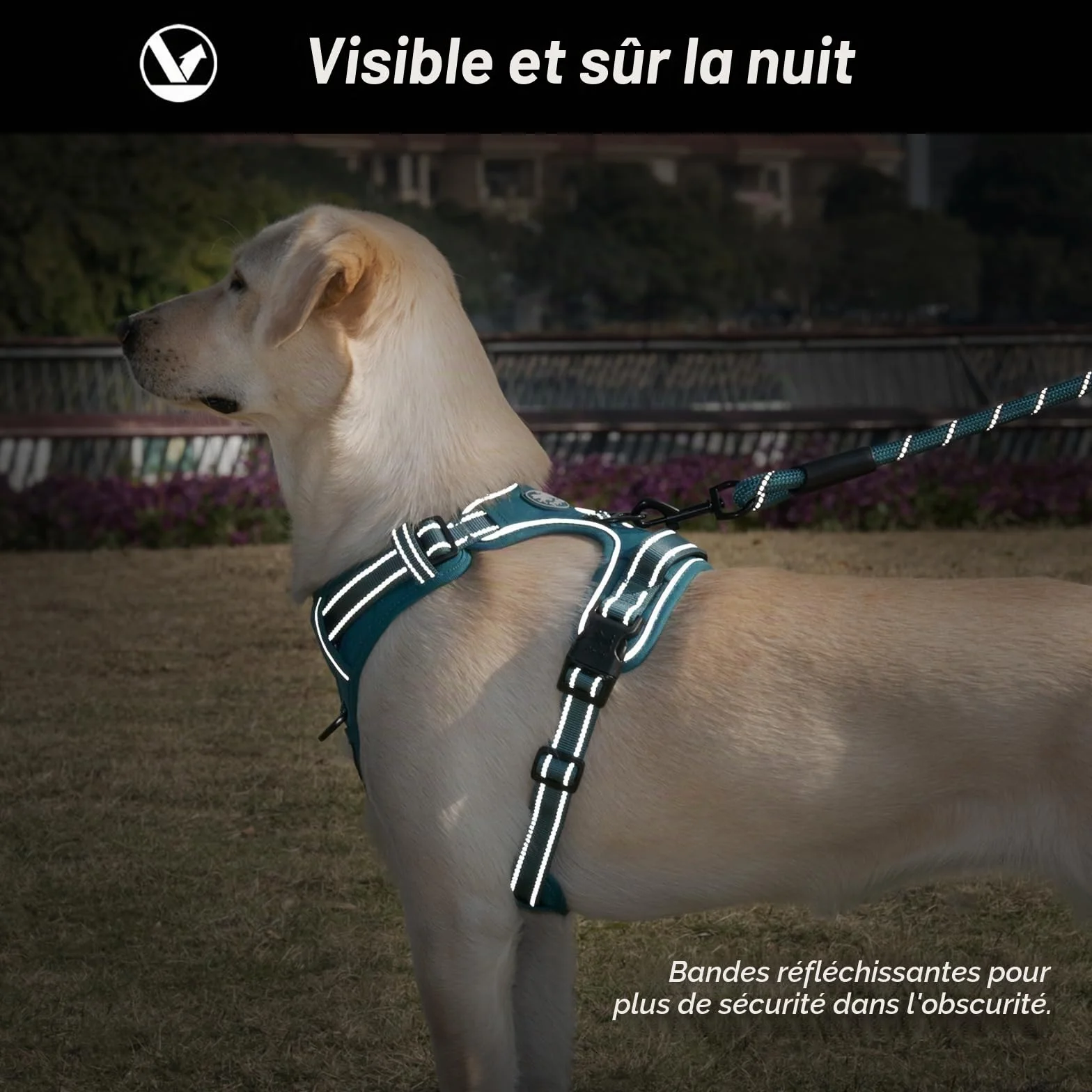 Poypet Harnais pour Chien Réfléchissant Gilet Réglable Doux Poignée Easy Control Bleu Sarcelle Taille S