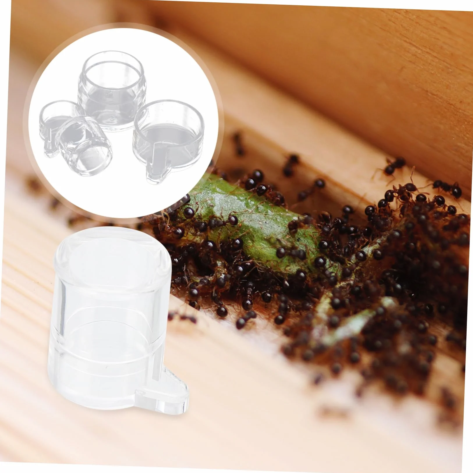 Kisangel 2 Pièces Alimentation pour Fourmis Acrylique Mangeoire et Récipient d'Eau Transparent
