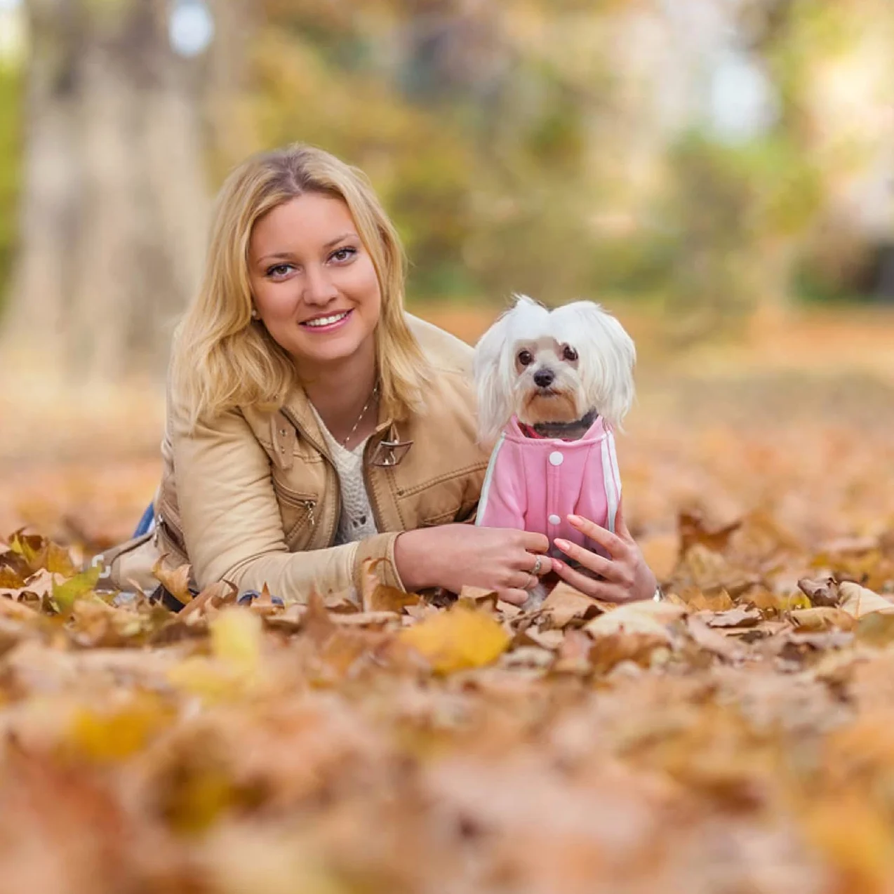 Sweat à Capuche pour Chien Vêtements pour Animaux Pull Automne Hiver Polaire Veste pour Chihuahua Teddy Petits Chiens Taille Moyenne