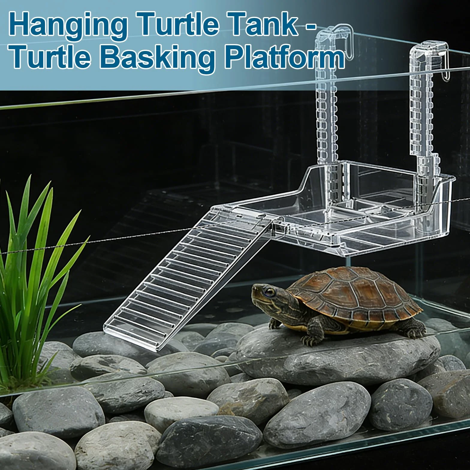Plateforme Suspendue pour Tortues d'Eau - Accessoire Aquarium Réglable pour Petites Tortues Reptiles Animaux Aquatiques Taille M