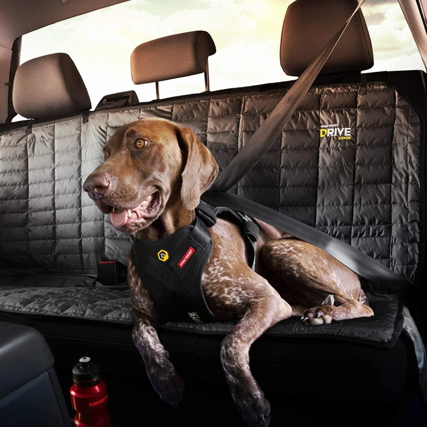 EzyDog Harnais de sécurité Drive pour Chien – Harnais Voiture testé en Crash-Test, Ajustable (L, Noir)