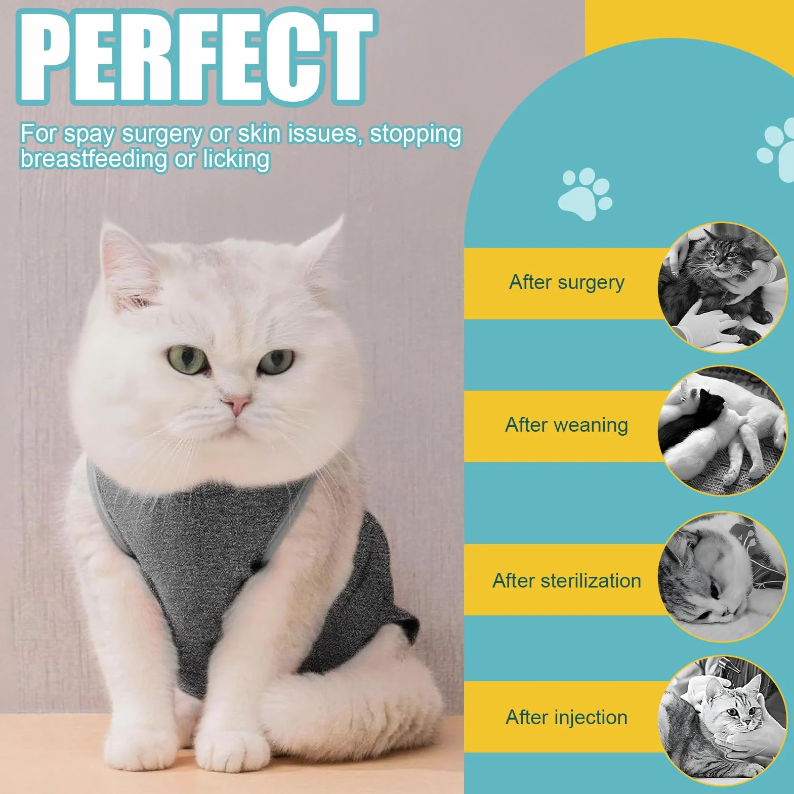 Body pour Chat après Stérilisation, Post Opératoire, Coton Doux, Protection Plaies, Taille M, 3-5kg, Gris