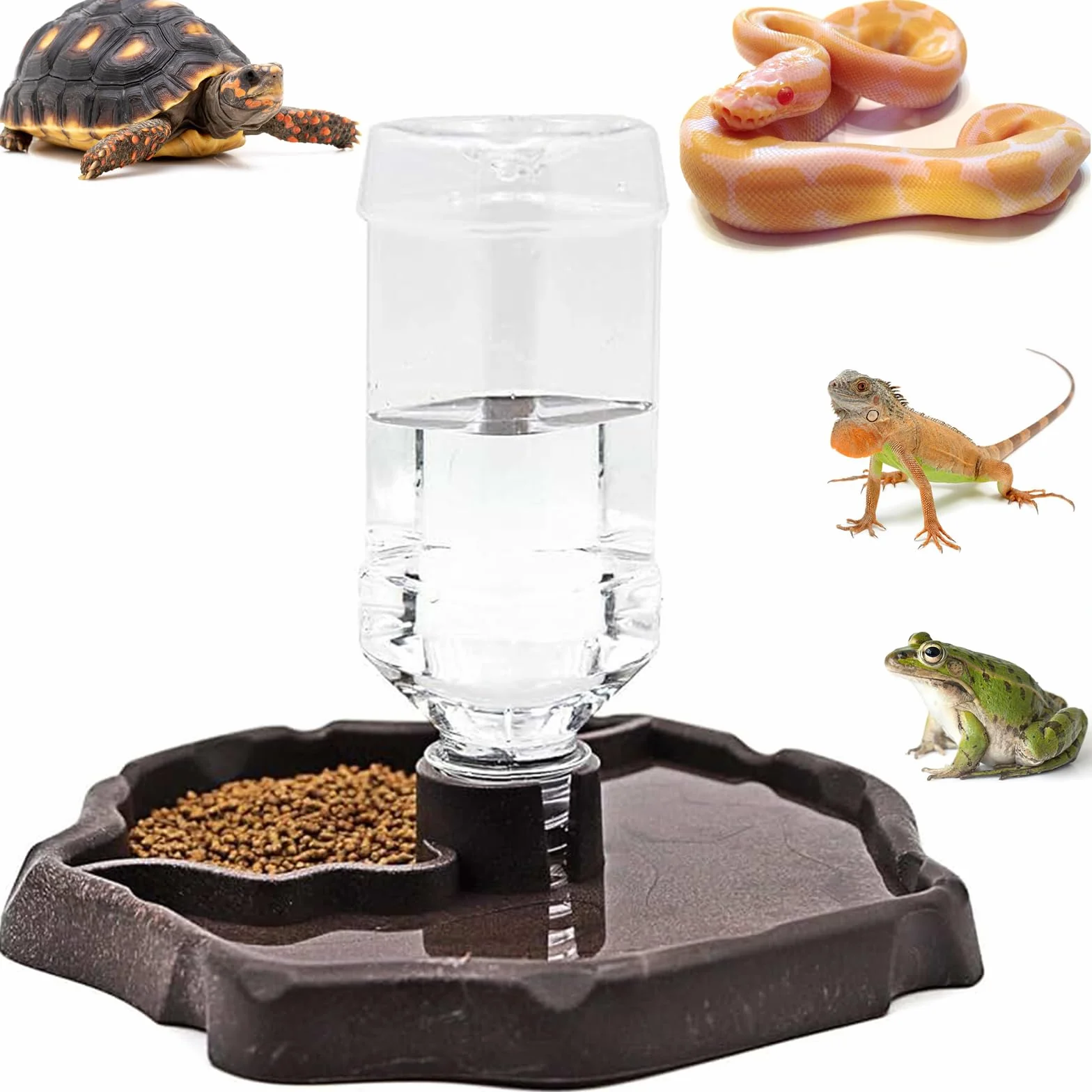 Distributeur d'eau pour Reptile 2 en 1, Mangeoire Tortue Terrestre avec Plat en Plastique