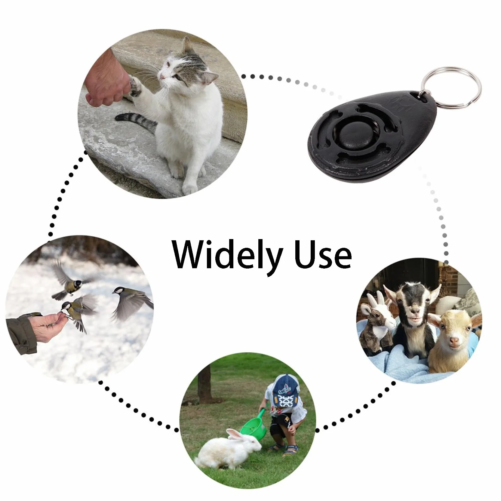Sifflet Chien Clicker Dressage avec Lanière Kit Dressage Animaux