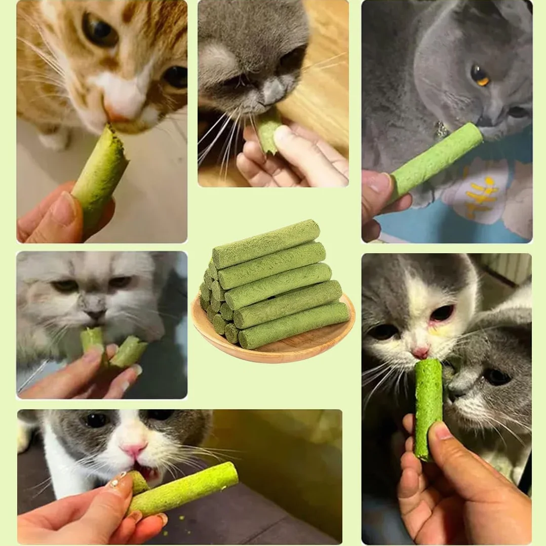 Herbe à Chat Séchée Lyophilisée 16 Pcs Friandises pour Chats Nettoyage des Dents Boules de Poils