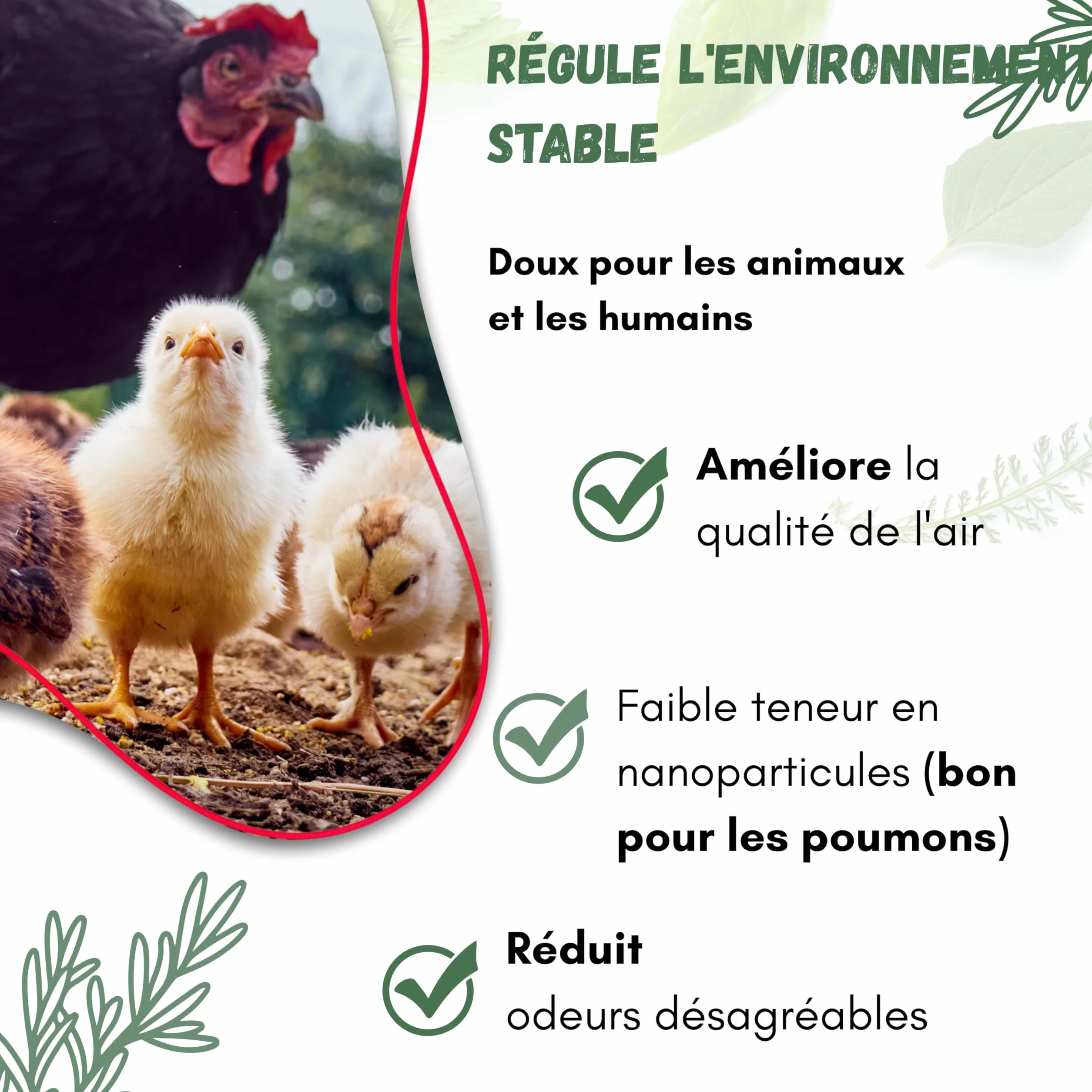 Lot de 3 bains de poussière pour poules 25 kg anti-acariens poudre naturelle