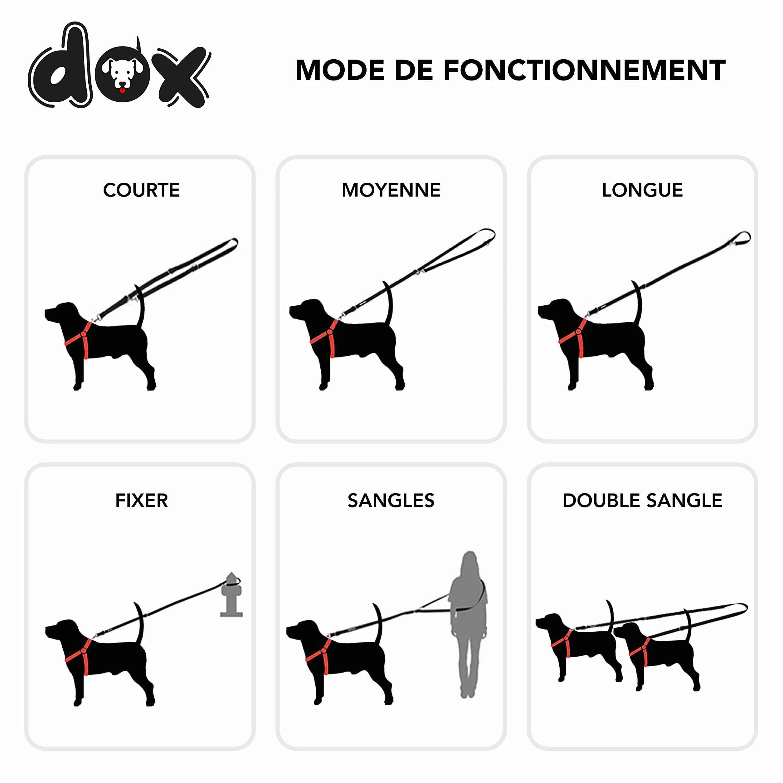 Laisse Chien Nylon Réfléchissante Réglable 3 Positions 2m Double Ajustable Chat Chiot Noir