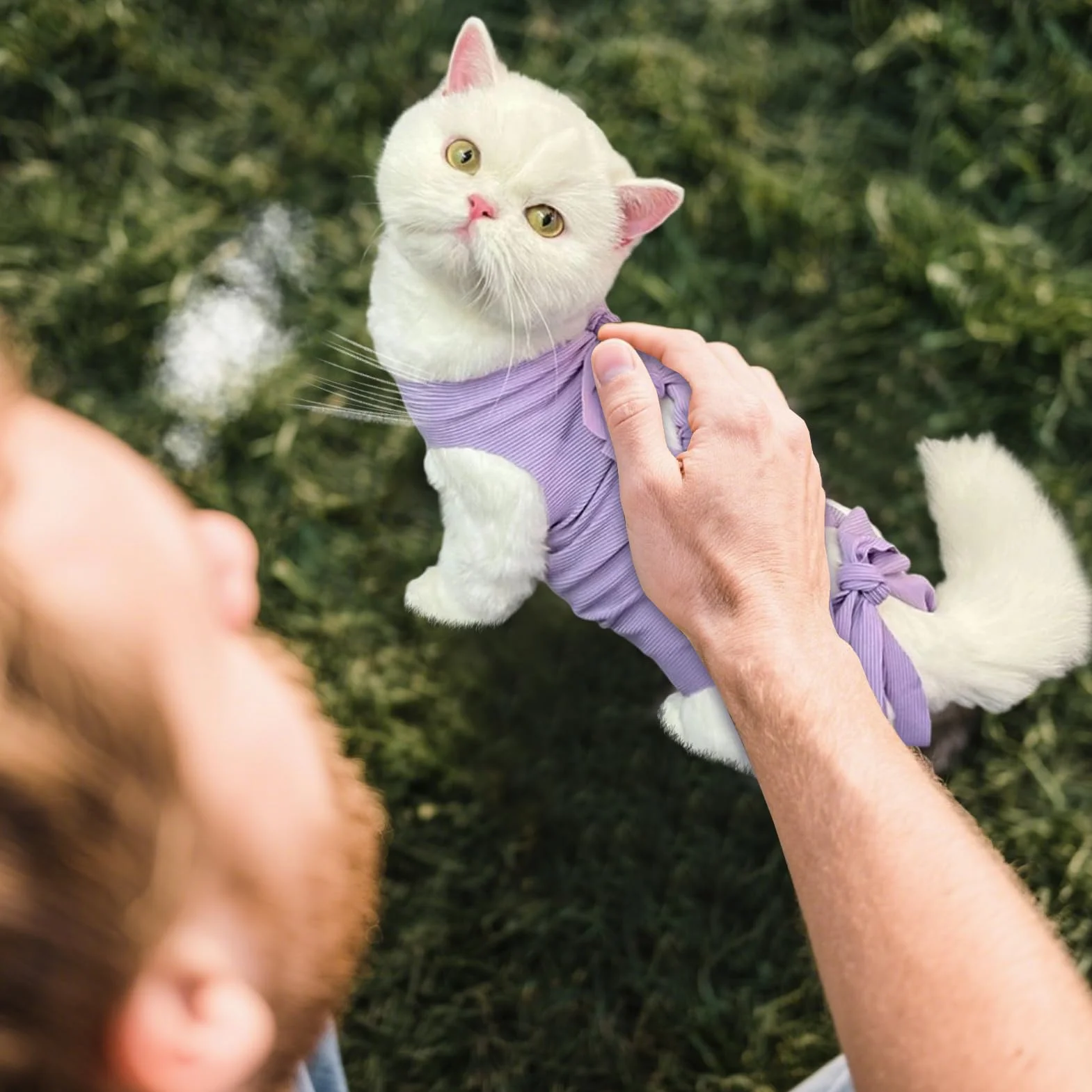 Combinaison Chirurgicale Réparatrice pour Chat Femelle Respirante | Vêtement de Protection Anti-Léchage pour Chats