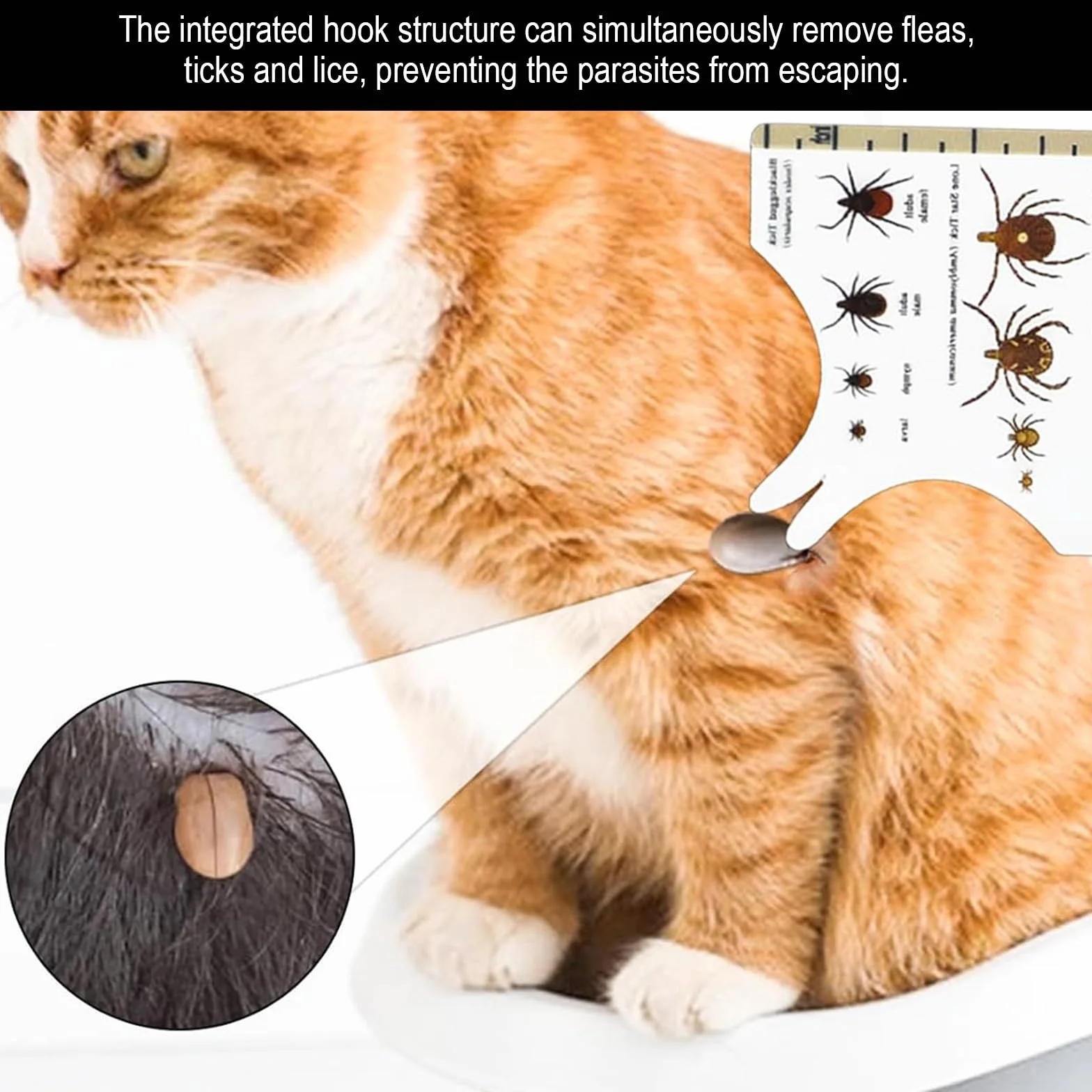 Carte à Tiques Homme & Enfants avec Loupe - Rapide Enlever Les Tiques pour Chien et Animal de Compagnie