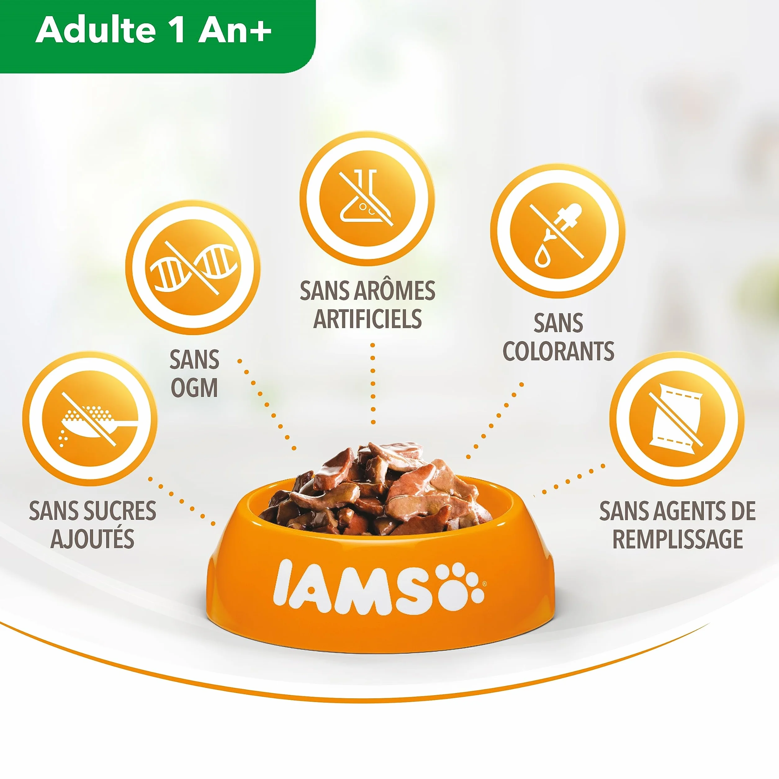 IAMS Chat Adulte Nourriture Humide en gelée Mer Sea Collection 12 sachets x 85g