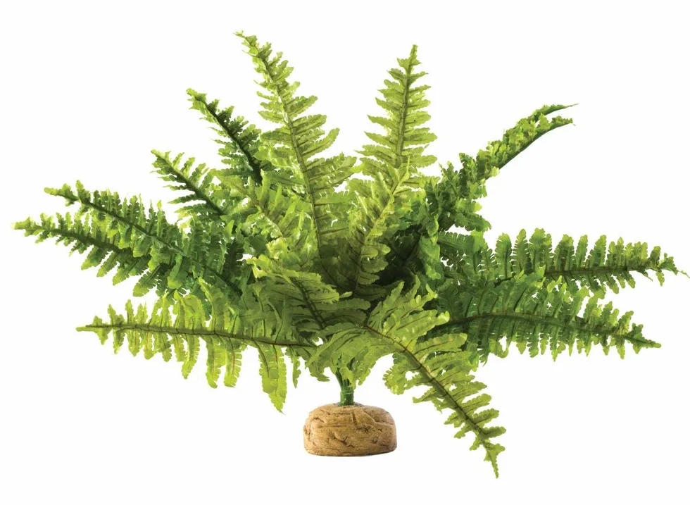 Exoterra Plante de Décoration pour Reptile Fougère de Boston