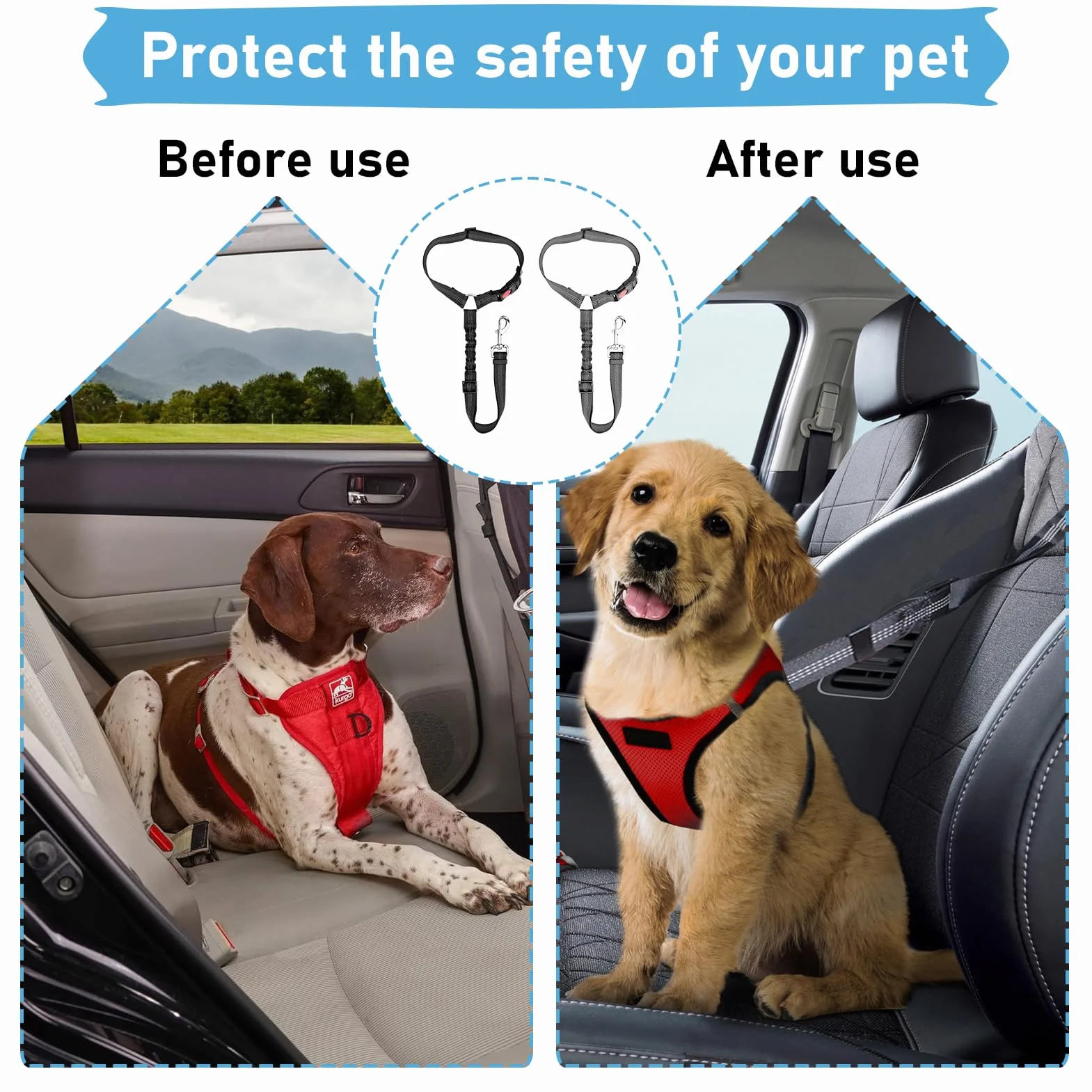Ceinture Securite Chien Voiture Universelle avec Absorption des Chocs Reglable 28-33 Pouces Noir Gris