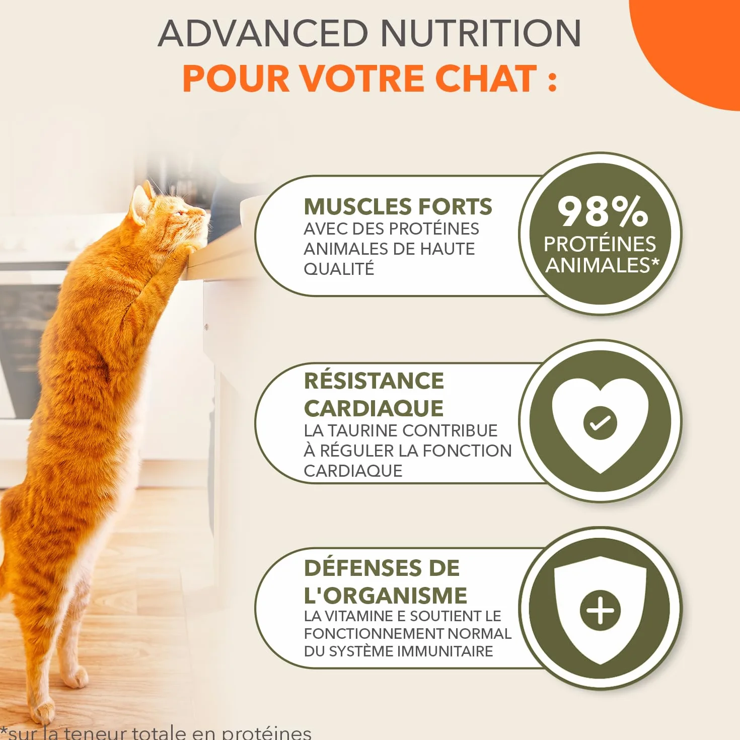 IAMS Delights Land Collection Nourriture Humide pour Chat sans céréales – Multipack avec Viande, variétés en Sauce, Nourriture Humide sans céréales pour Chats à partir de 1 an, 12 x 85 g
