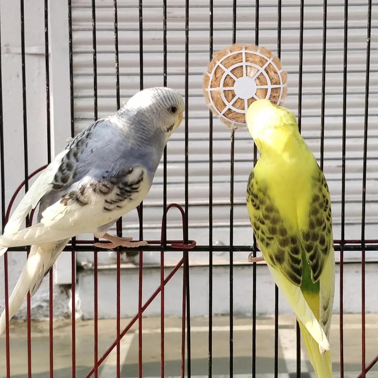 HEMOTON Matériaux de Nidification Souples en Coton et Jute pour Cage à Canari