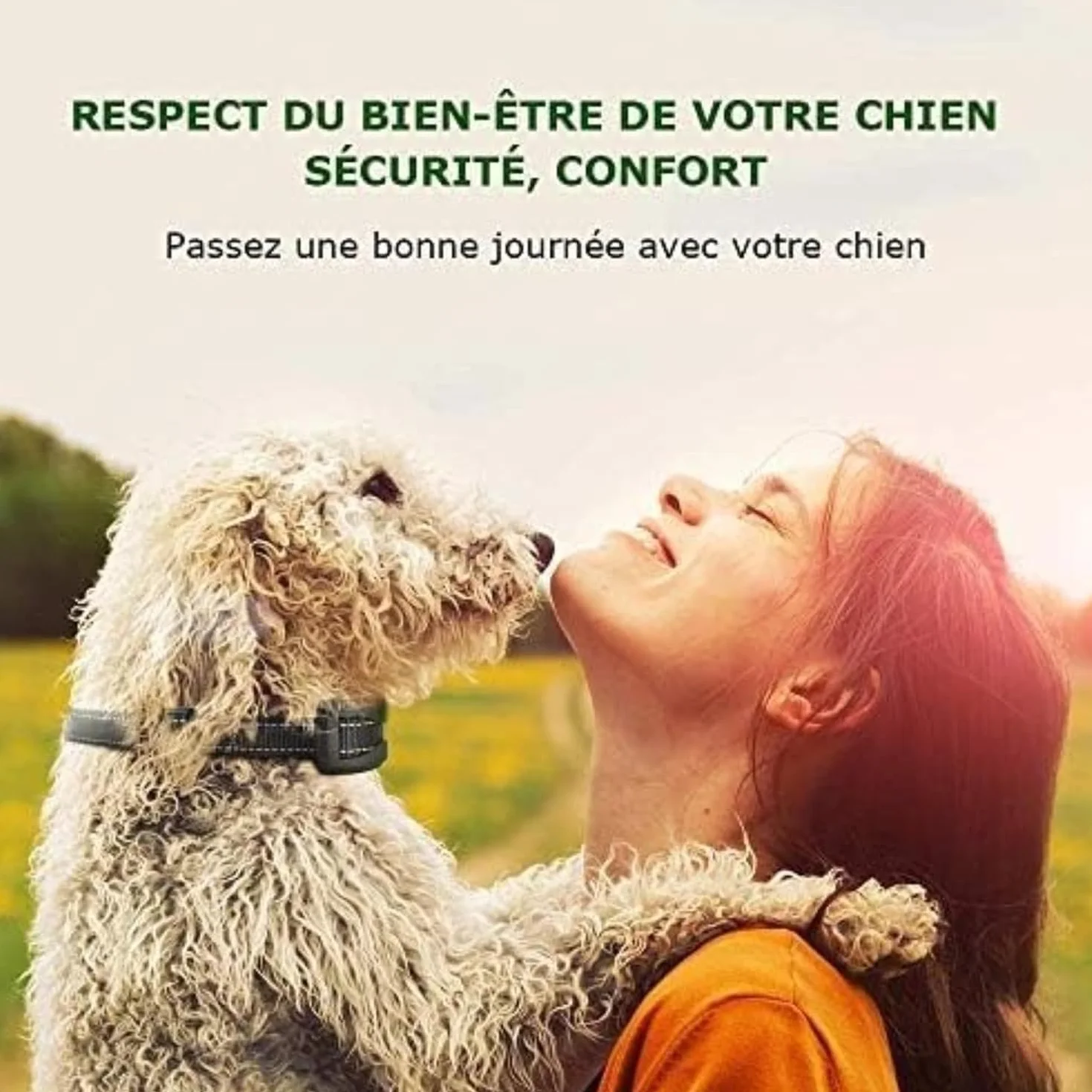 Collier Anti-aboiement Chien 3 Modes Choc Électrique Vibration Sensibilité Batterie Rechargeable Sangle Réfléchissant Réglable