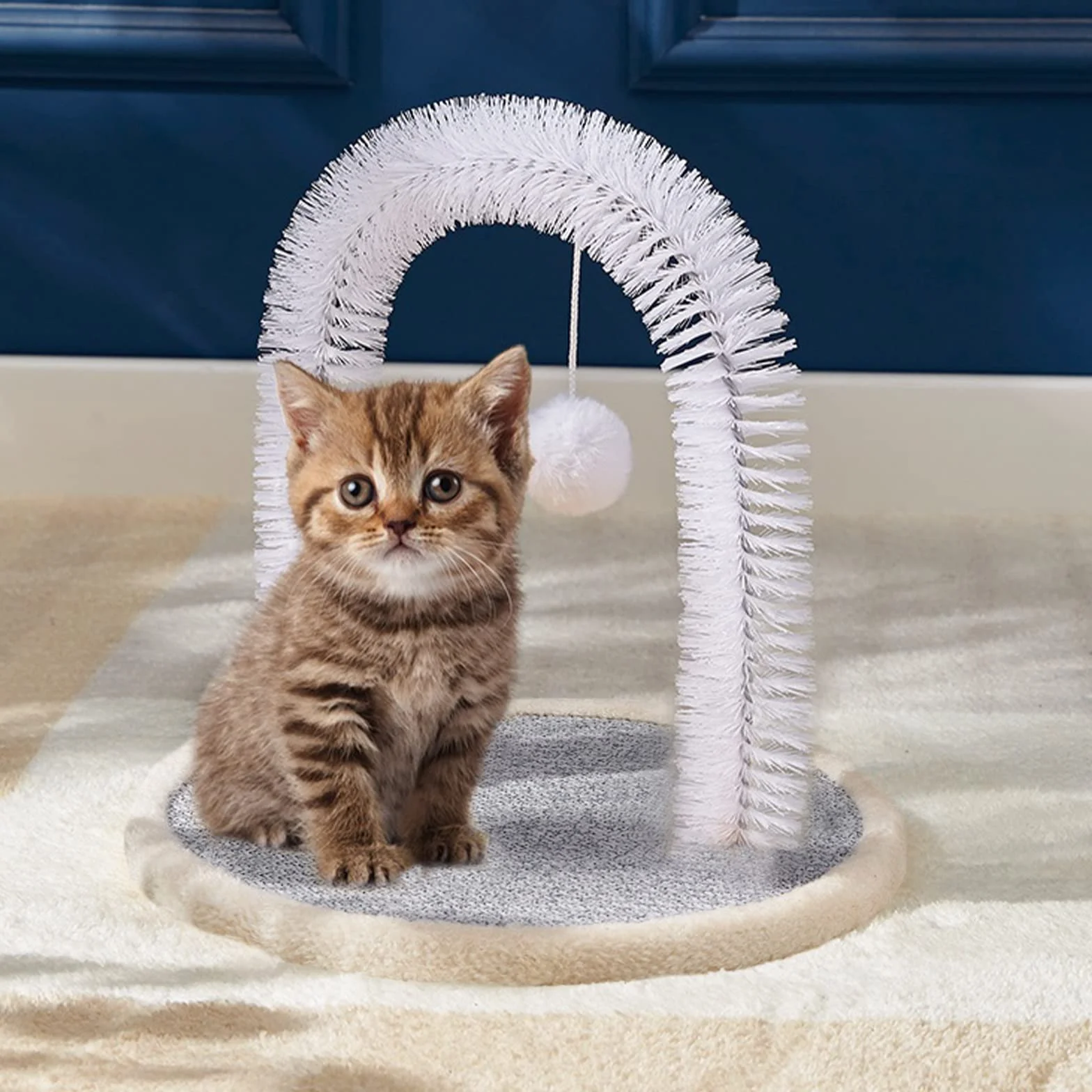 Brosse à poils de visage pour chat, gratte-dos, masseur durable pour chatons