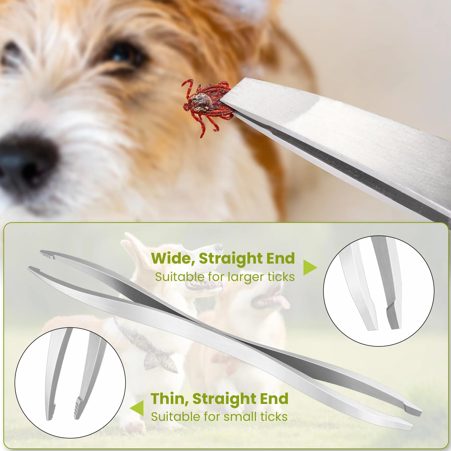 Pince à Tiques en Acier Inoxydable MELLIEX 5 Pièces avec Sac de Rangement pour Chiens et Chats
