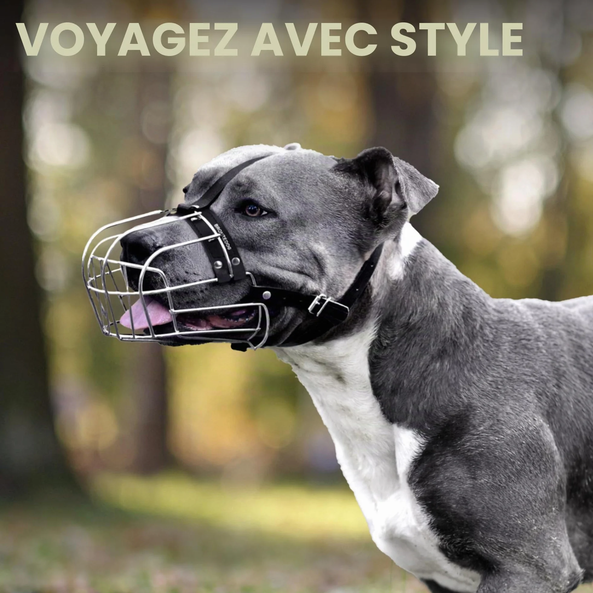 BronzeDog Muselière pour Chien en métal Amstaff Panier en Fil de Fer Sangles réglables en Cuir pour Grands Chiens